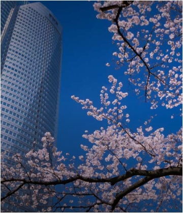 Meguro