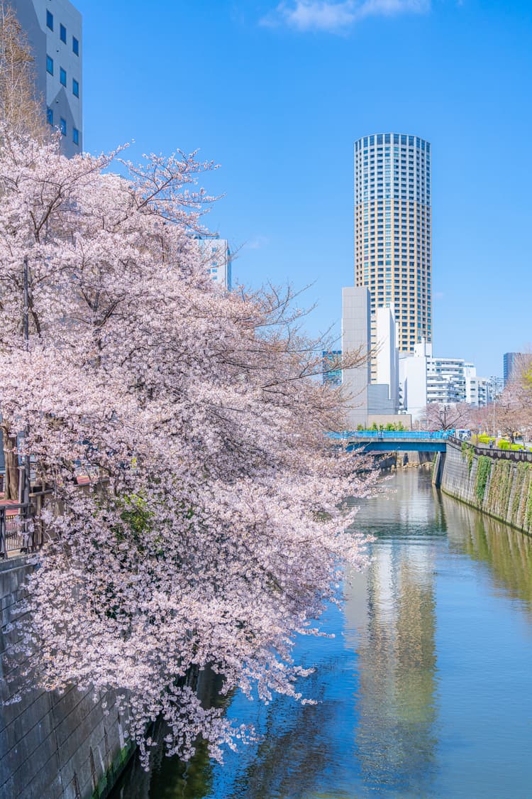 Meguro