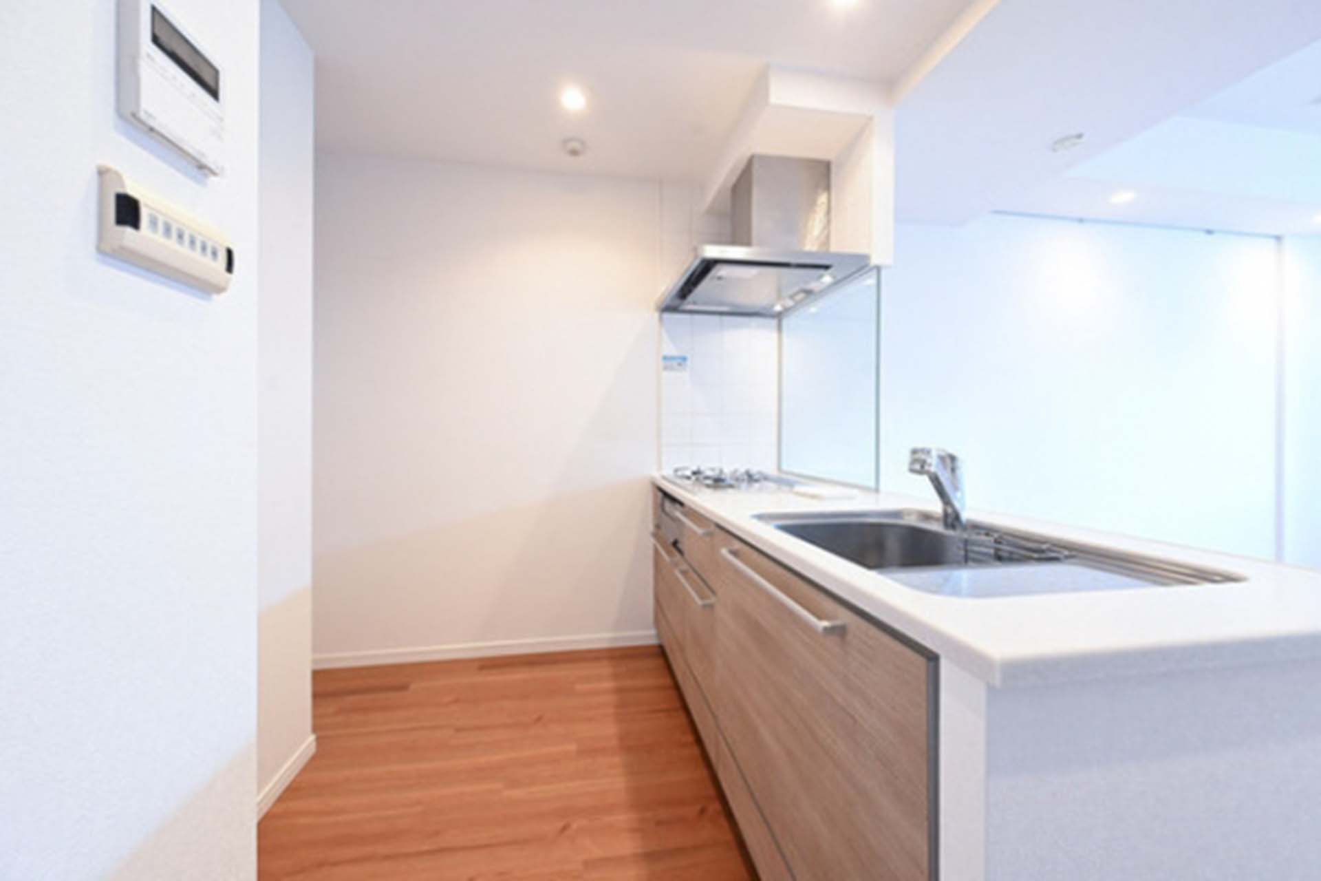 HF Shirokane Takanawa Residence kitchen.jpg