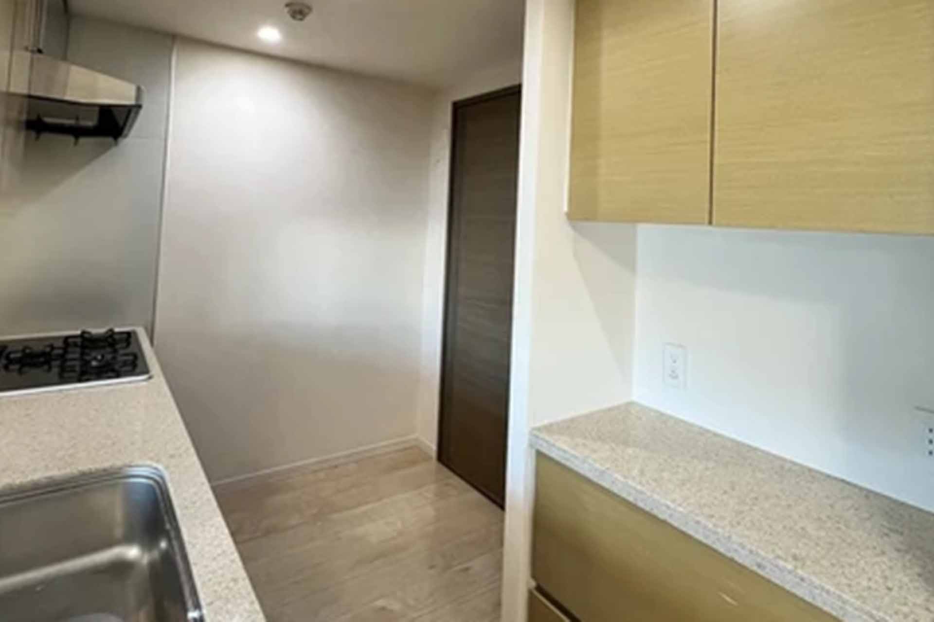 Park House Suwayama PRESENCE kitchen.jpg