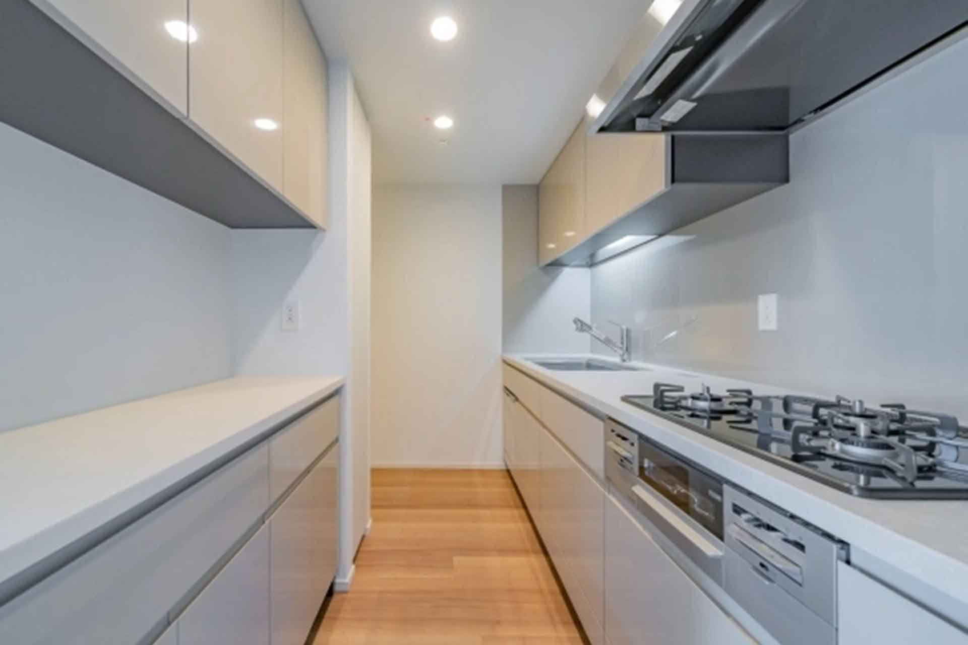 Park Tower Kachidoki South kitchen.jpg