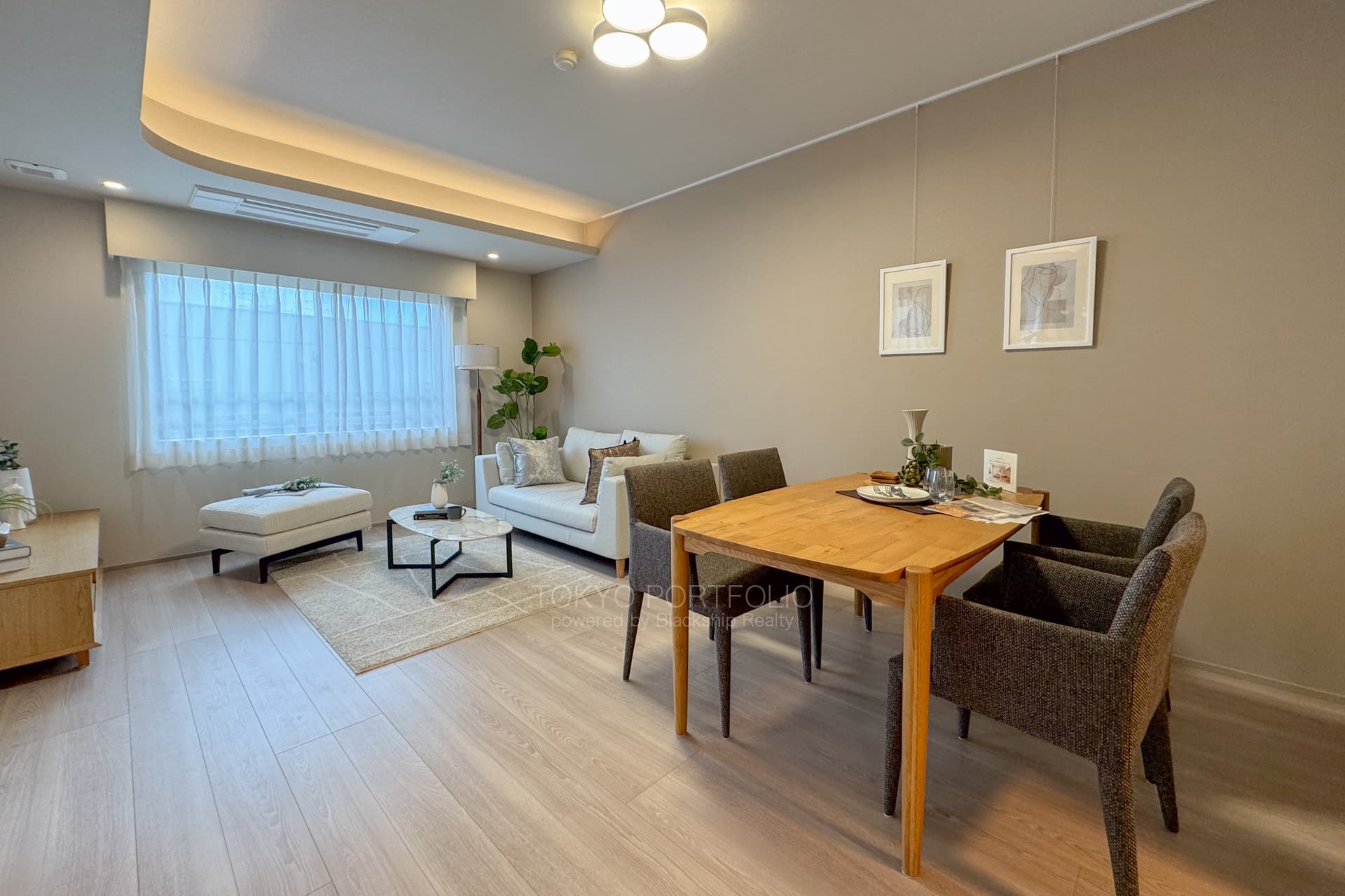 Adenium Omori Sanno
-2.jpg