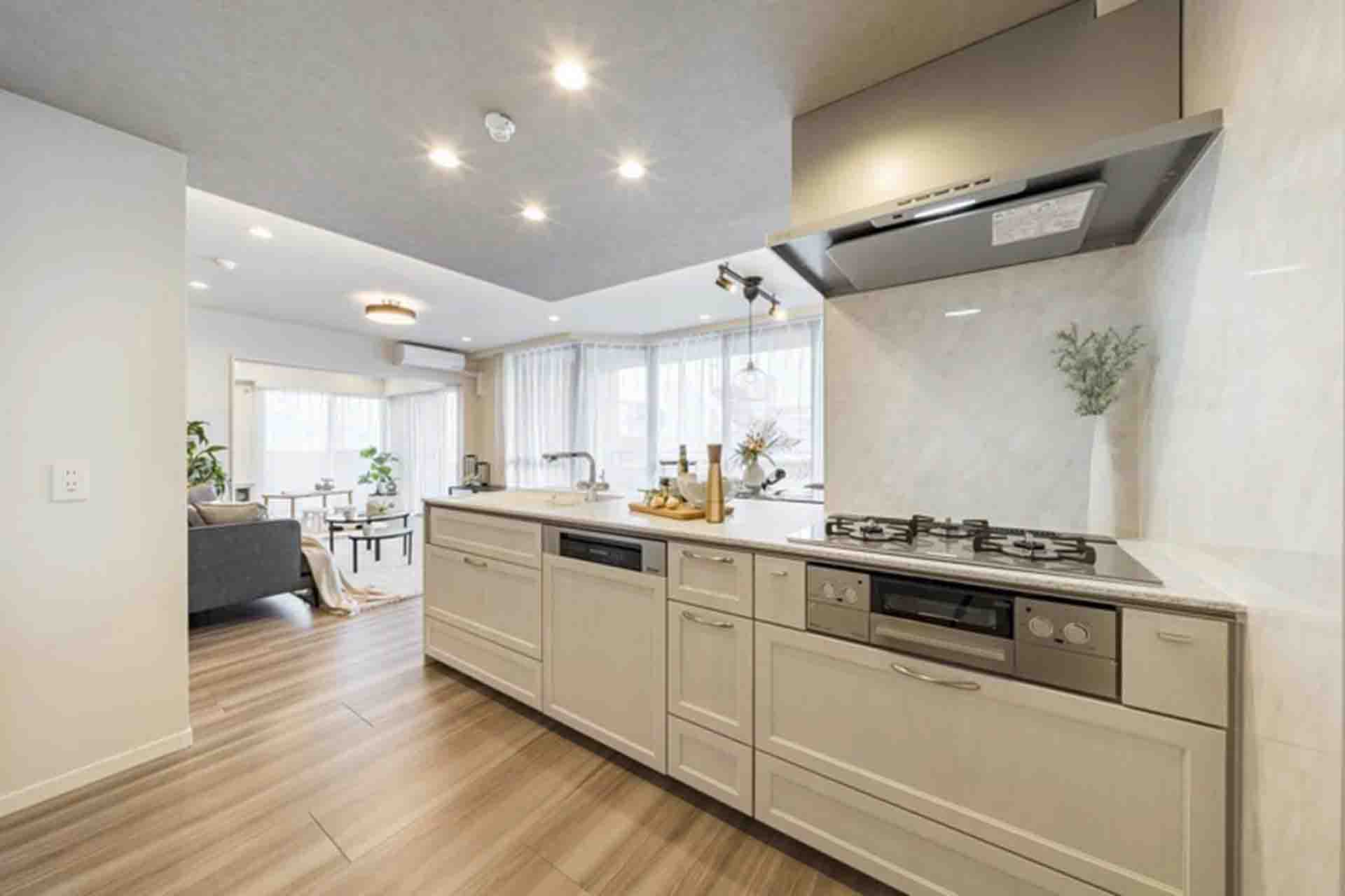 Diana Court Gakugei daigaku kitchen.jpg