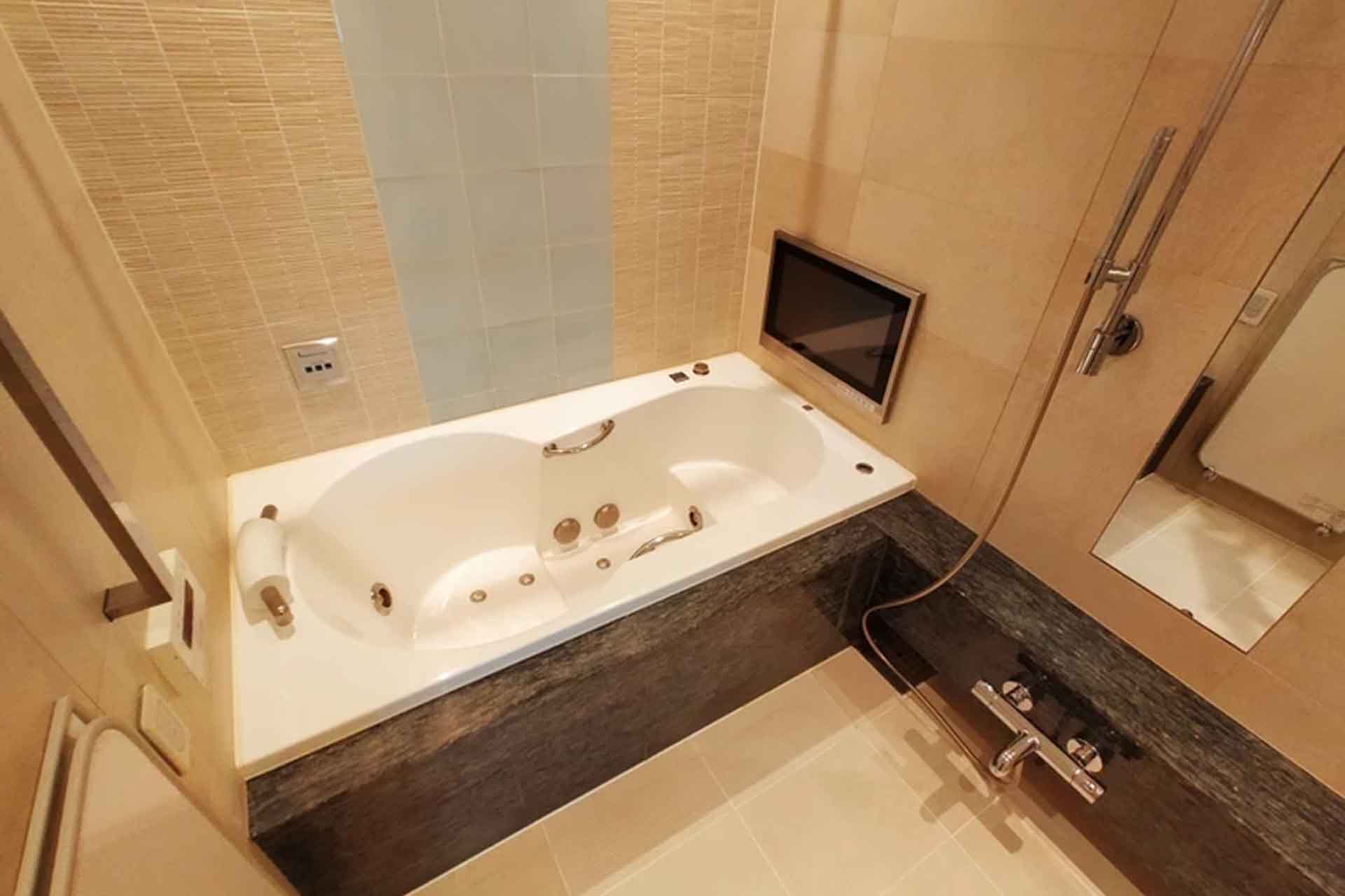 Park Mansion Mita Hinatazaka Bathroom.jpg
