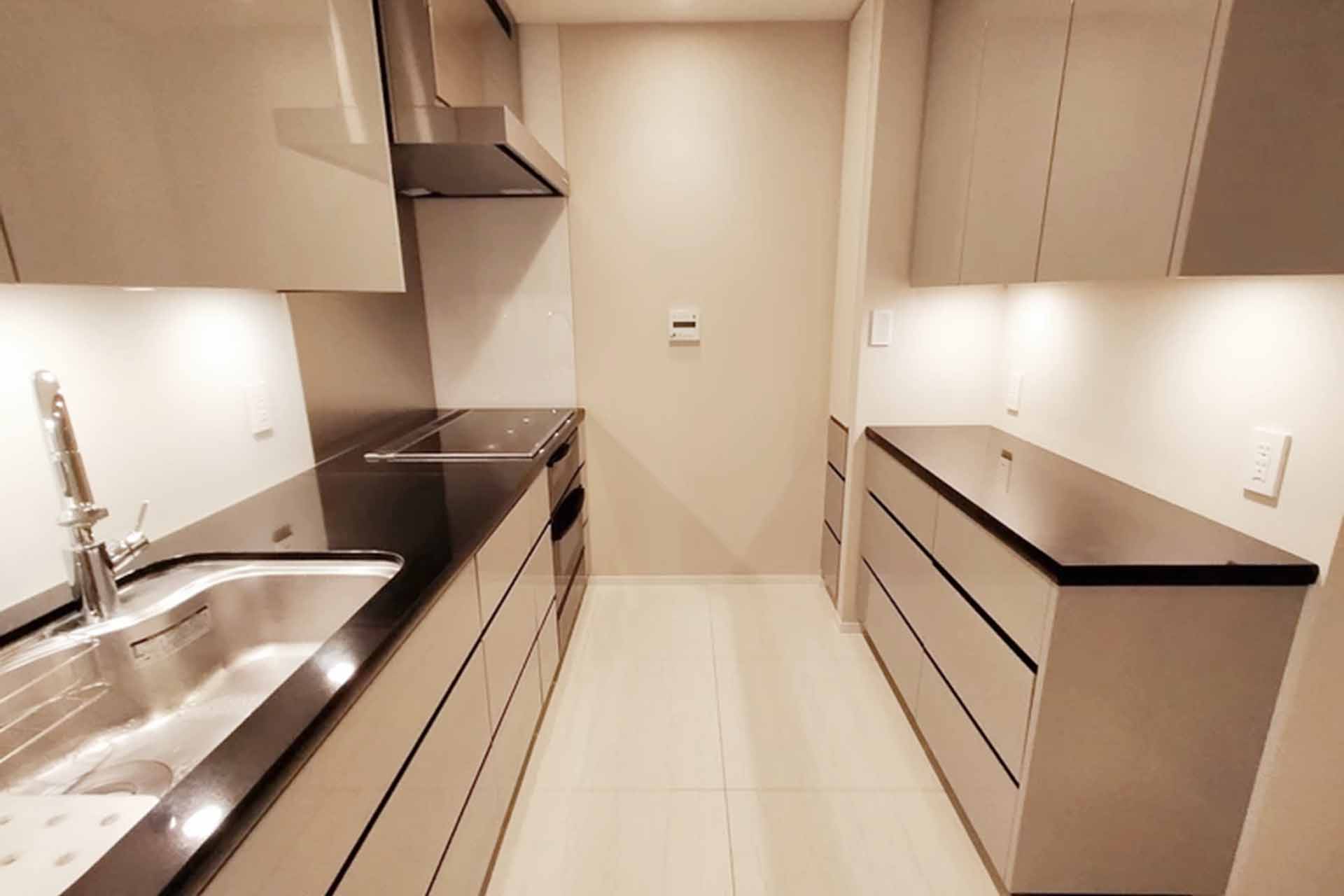 Park Mansion Mita Hinatazaka kitchen.jpg