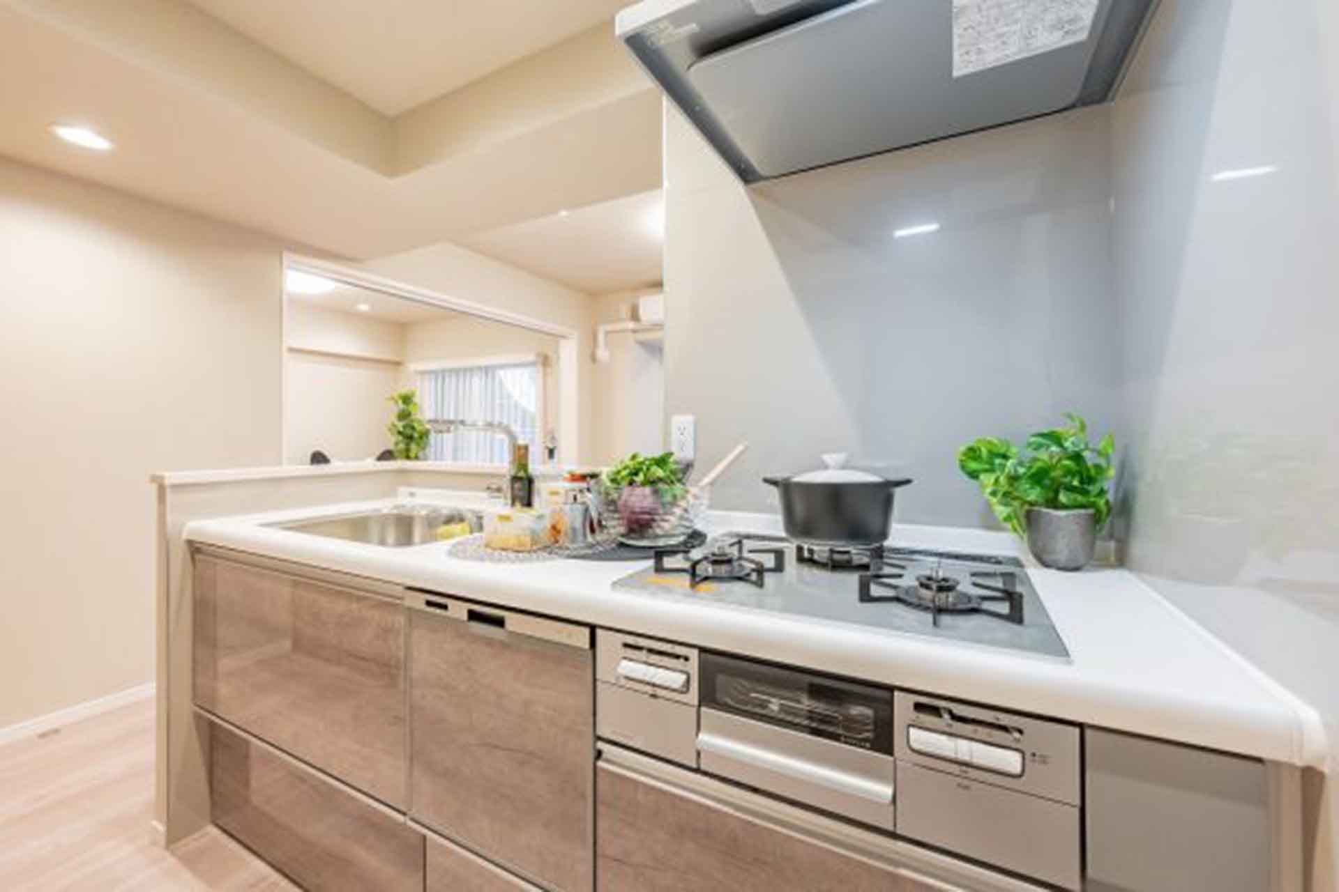 Lions Mansion Azabujuban Minami kitchen.jpg
