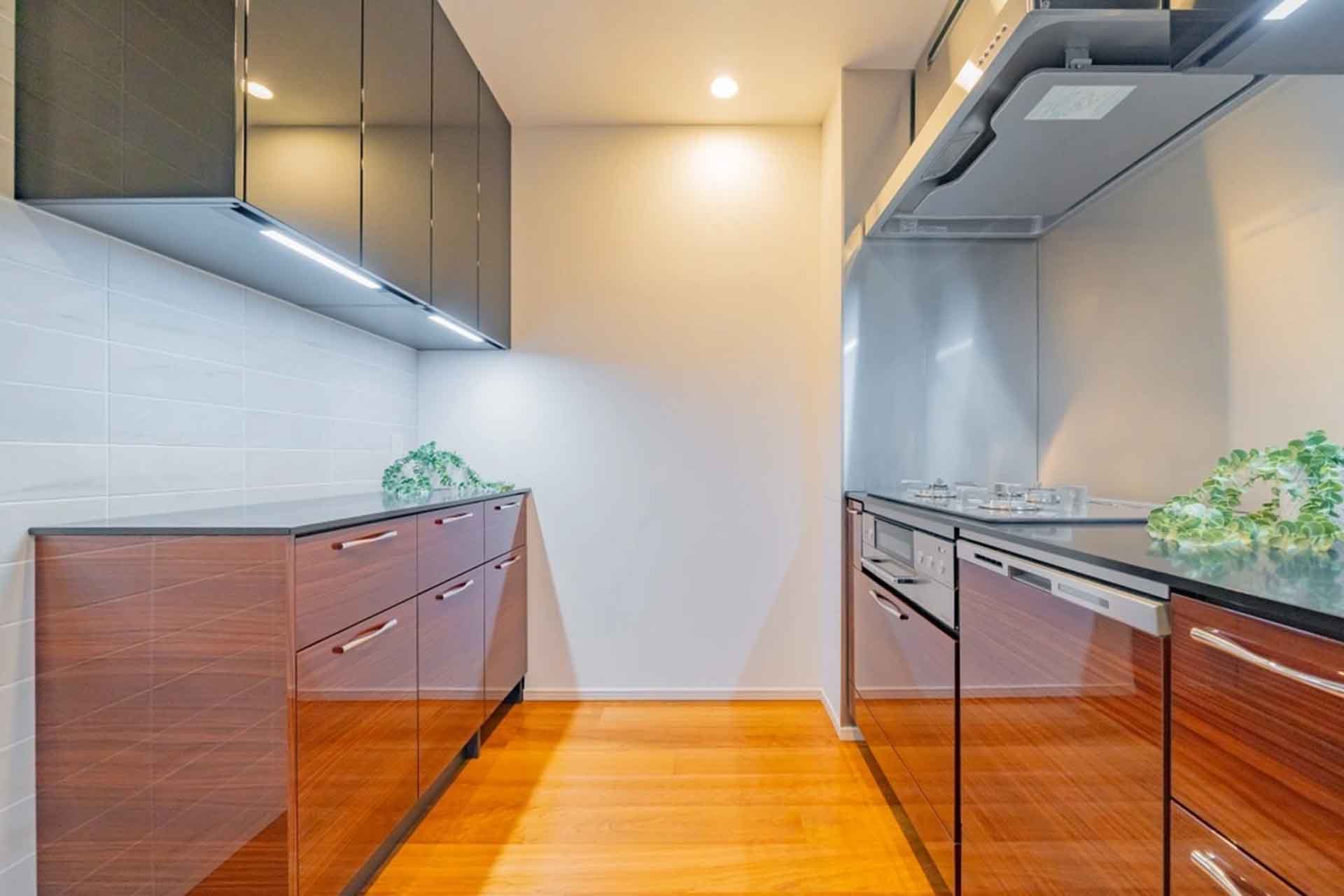 Park Court Akasaka Sakurazaka kitchen.jpg