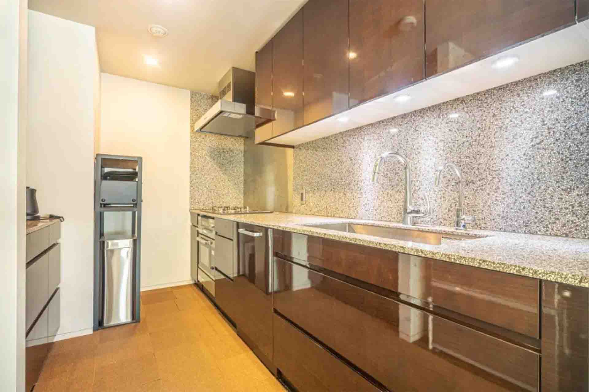 Wellis Arisugawa kitchen.jpg