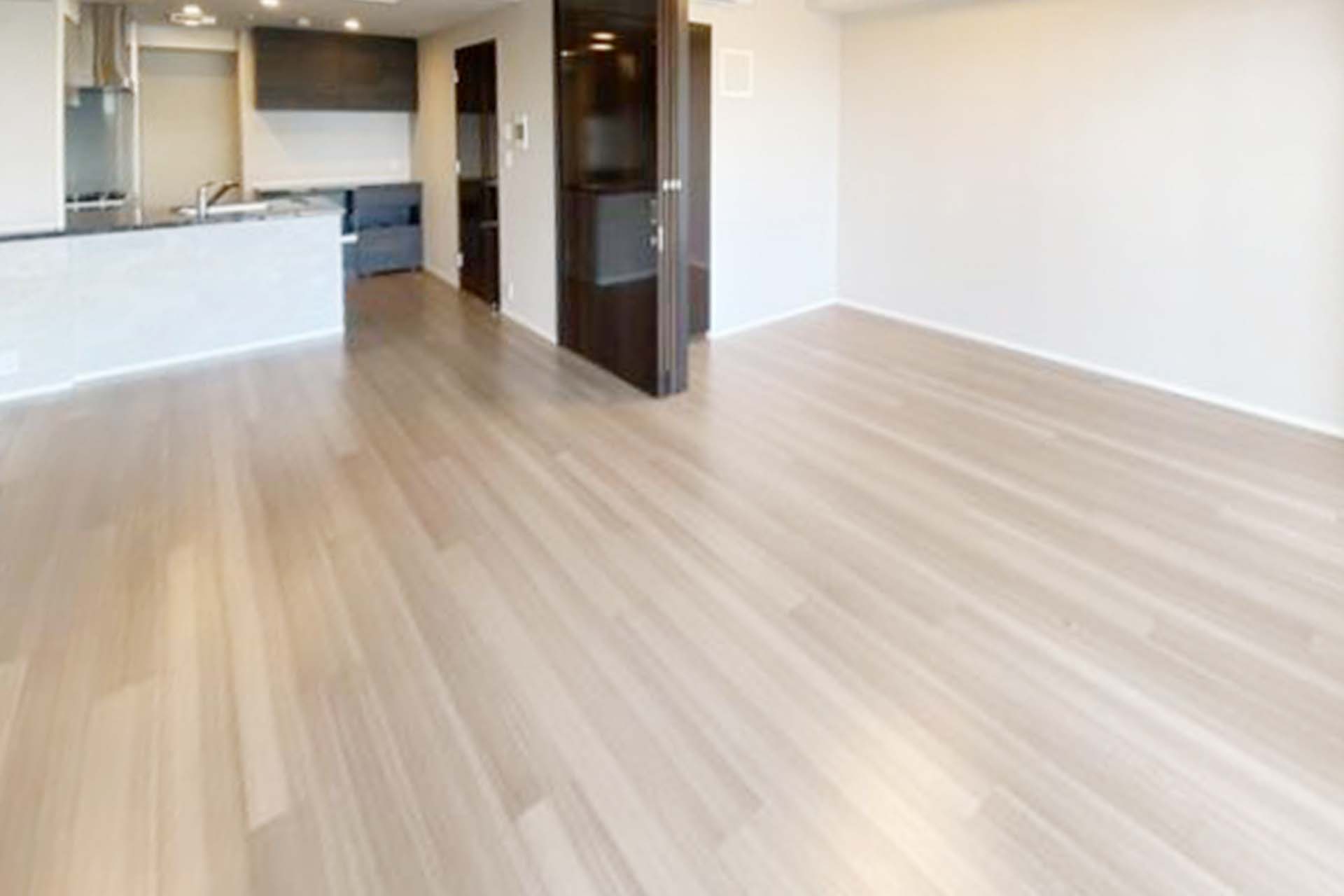 Grand Hills Ebisu LDK.jpg