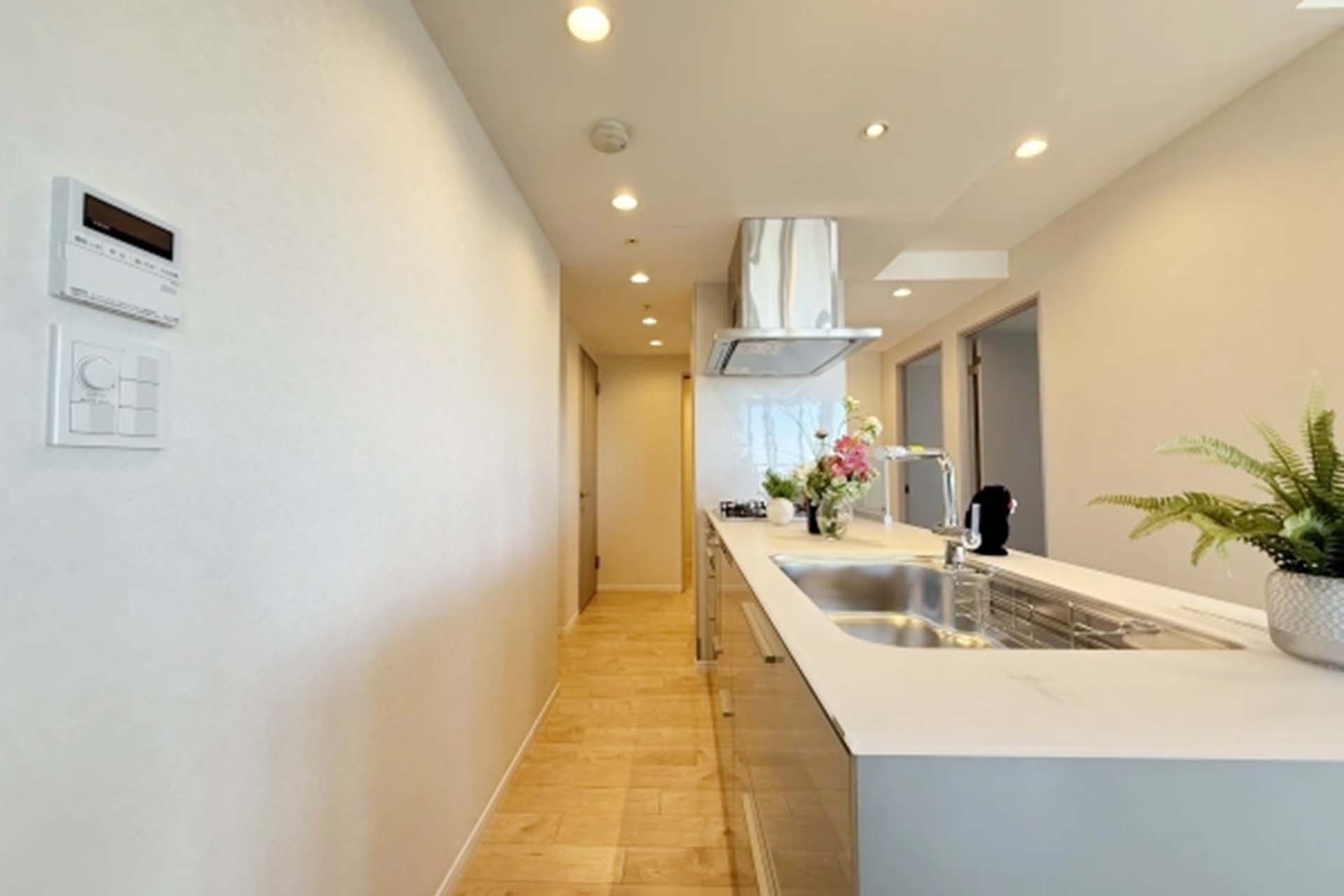 Shibaura Island Cape Tower kitchen.jpg