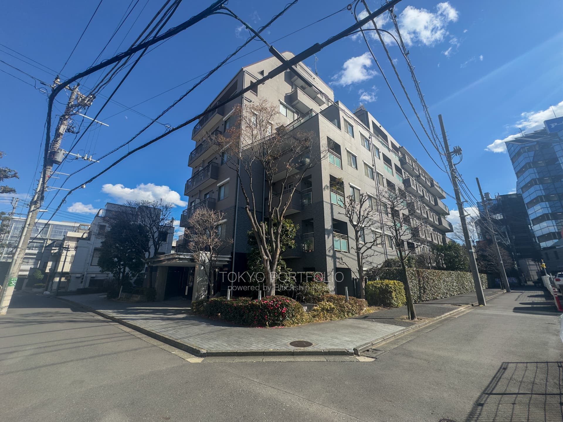 Imperial Yoyogi no mori-02.jpg
