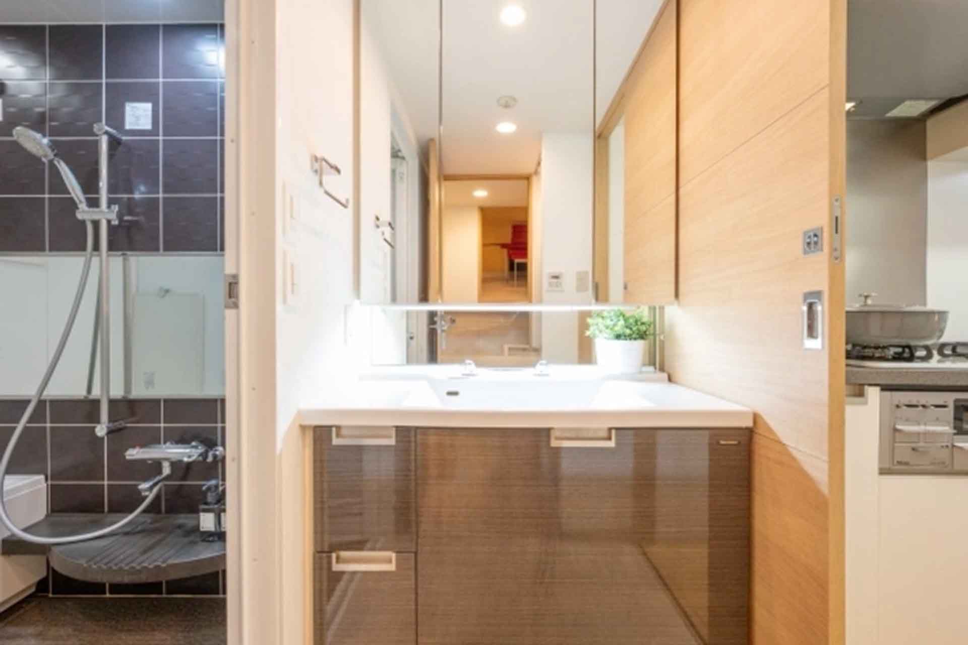 Adenium Gakugeidaigaku Bathroom.jpg