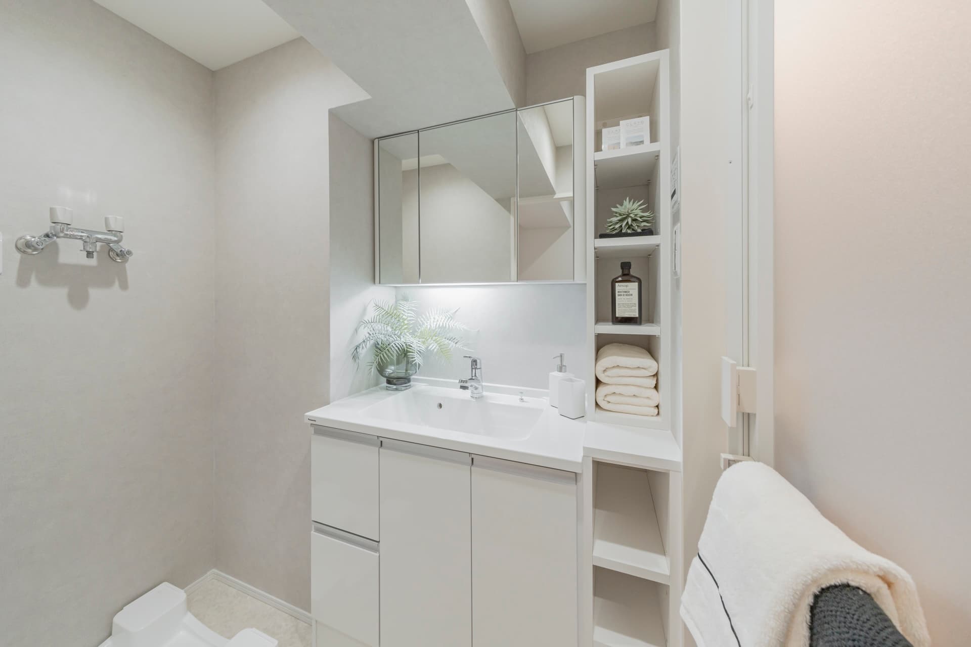 Vera Heights Ebisu East Bathroom.jpg