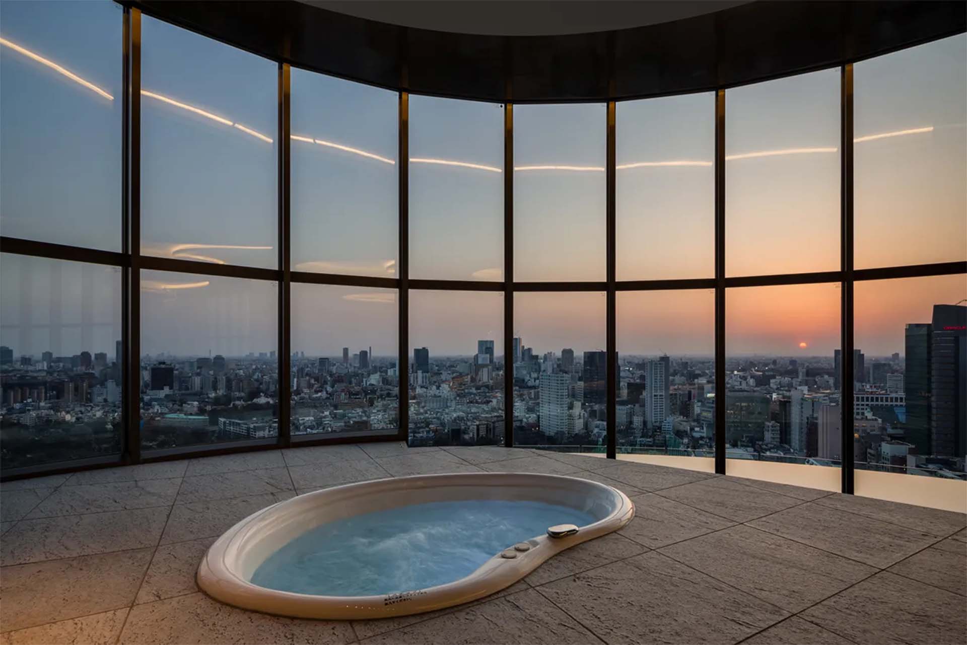 Park Court Aoyama The Tower pool.jpg