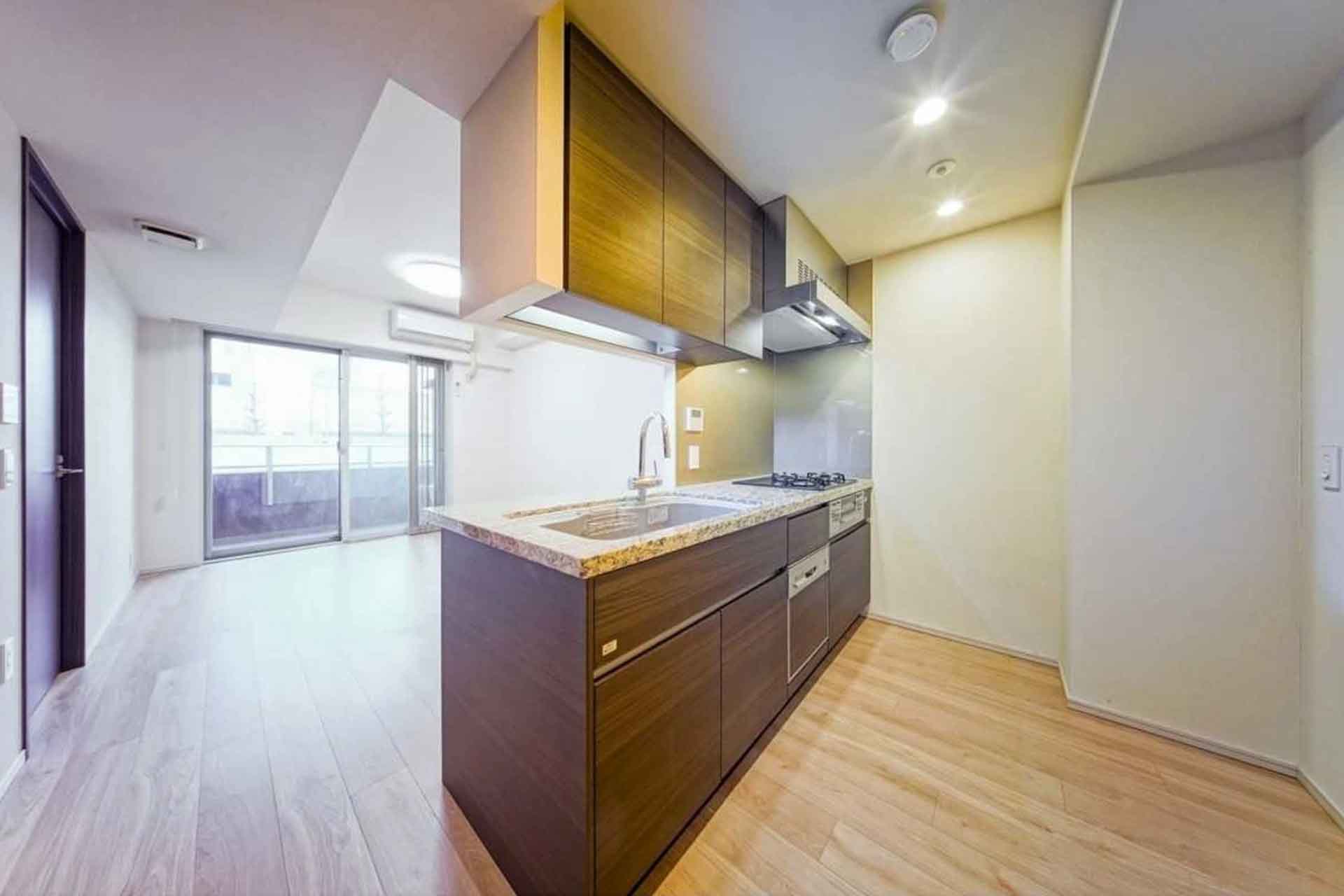 Wellith Roppongi LDK2.jpg