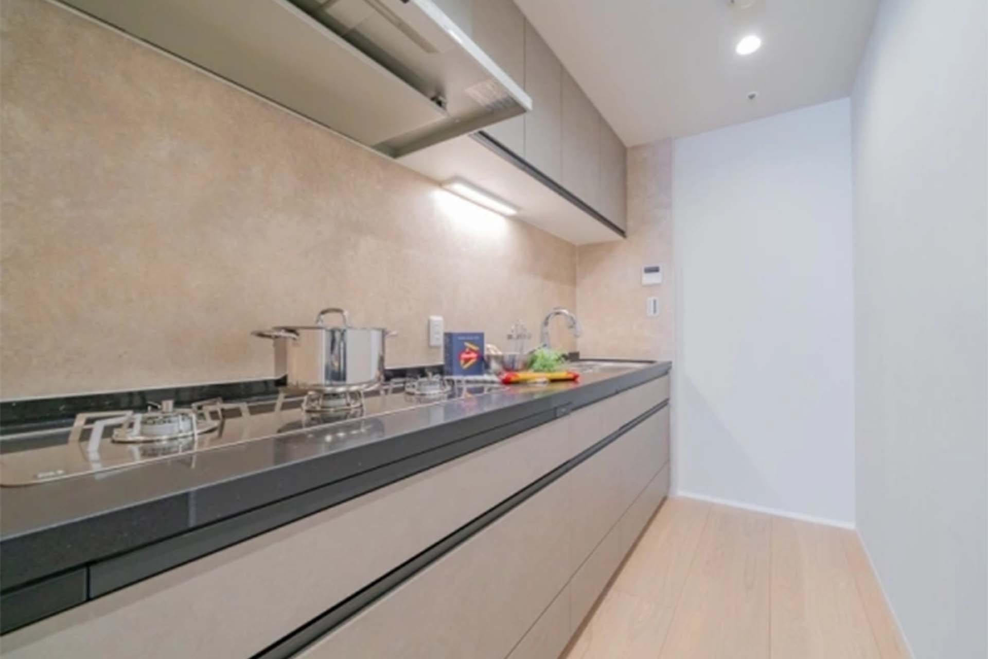 Park Court Toranomon Atago Tower kitchen.jpg