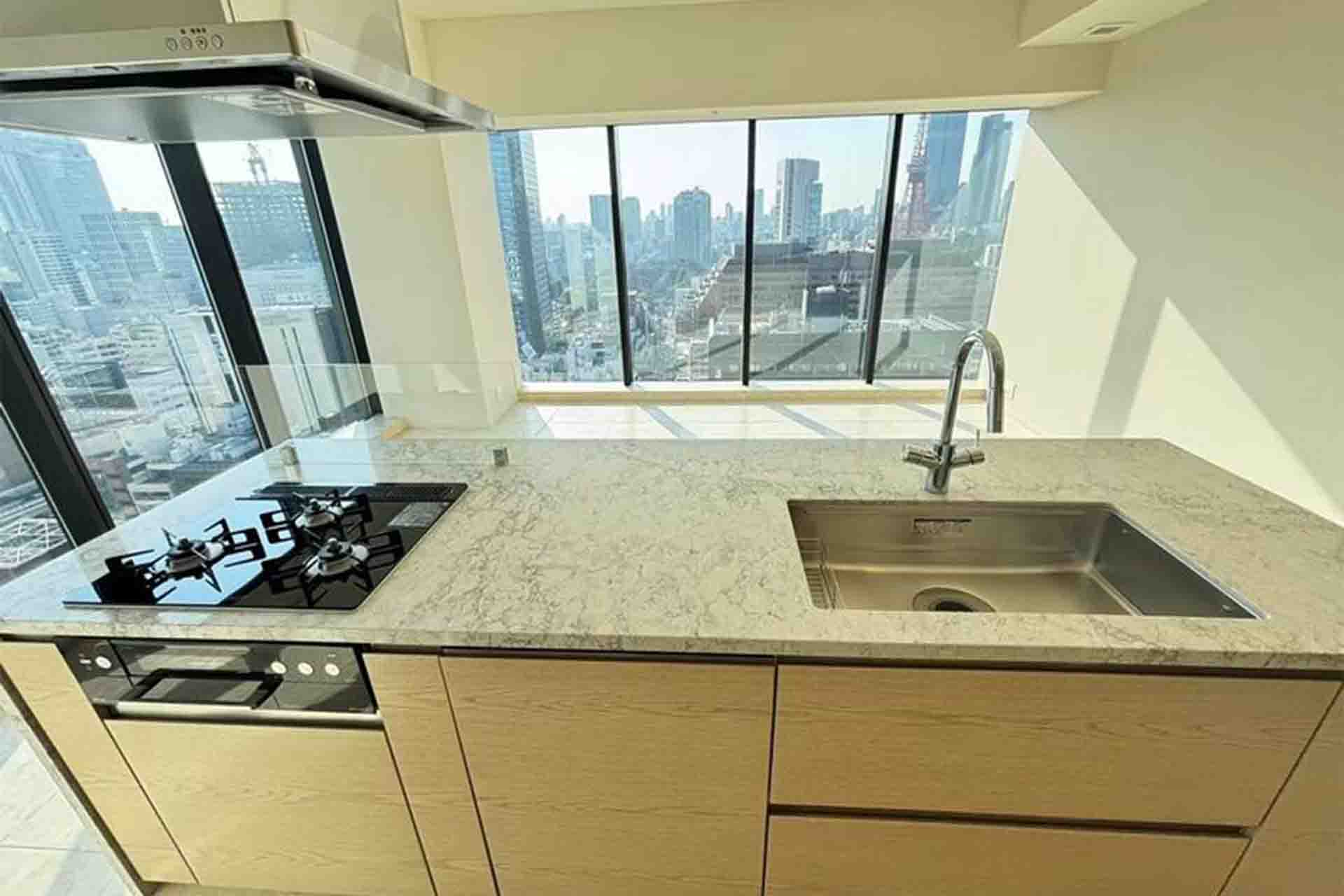 WORLD TOWER RESIDENCE 19F kitchen.jpg