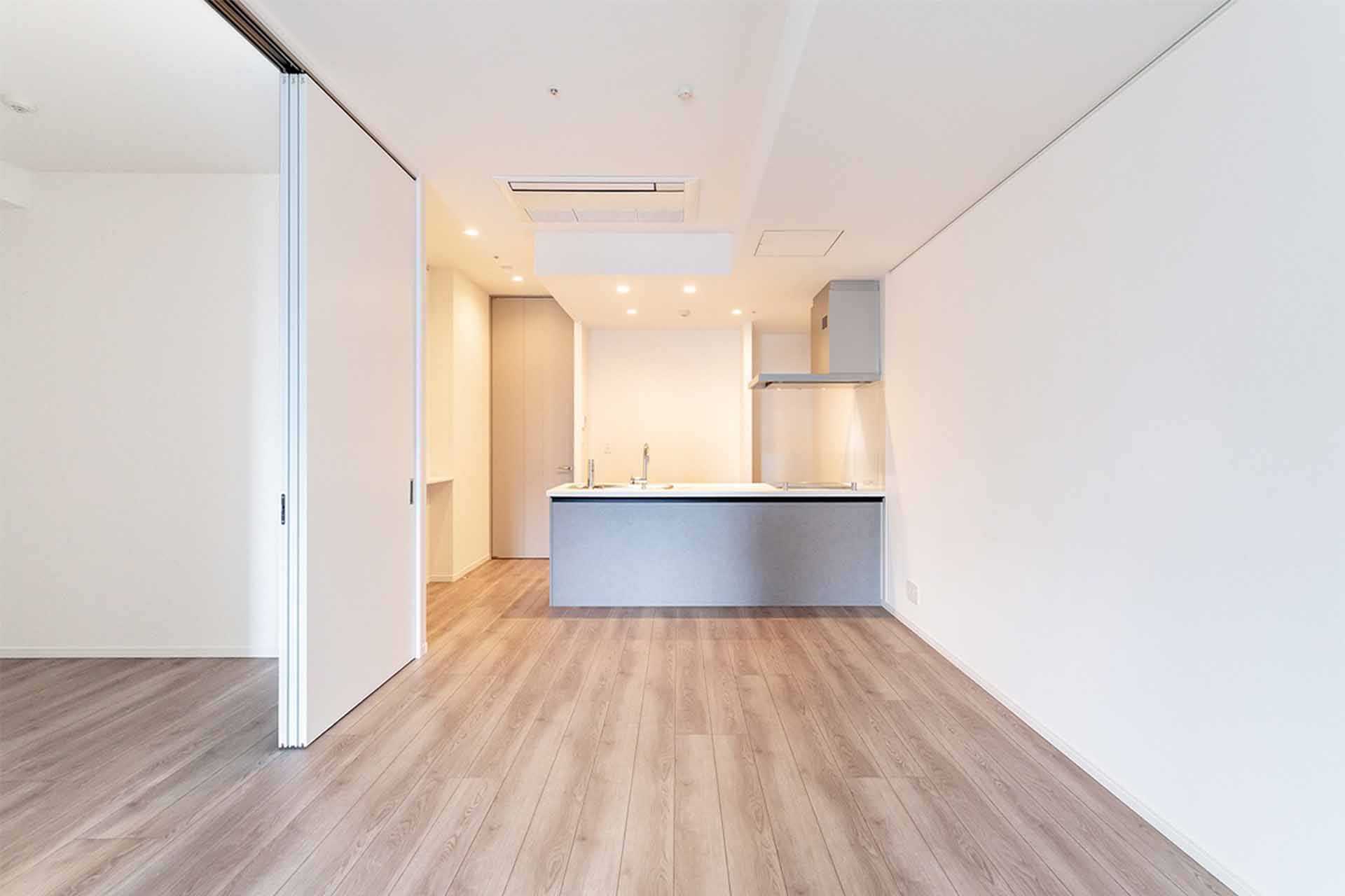 PLATINE SHIBAKOEN 1502 LDK2.jpg