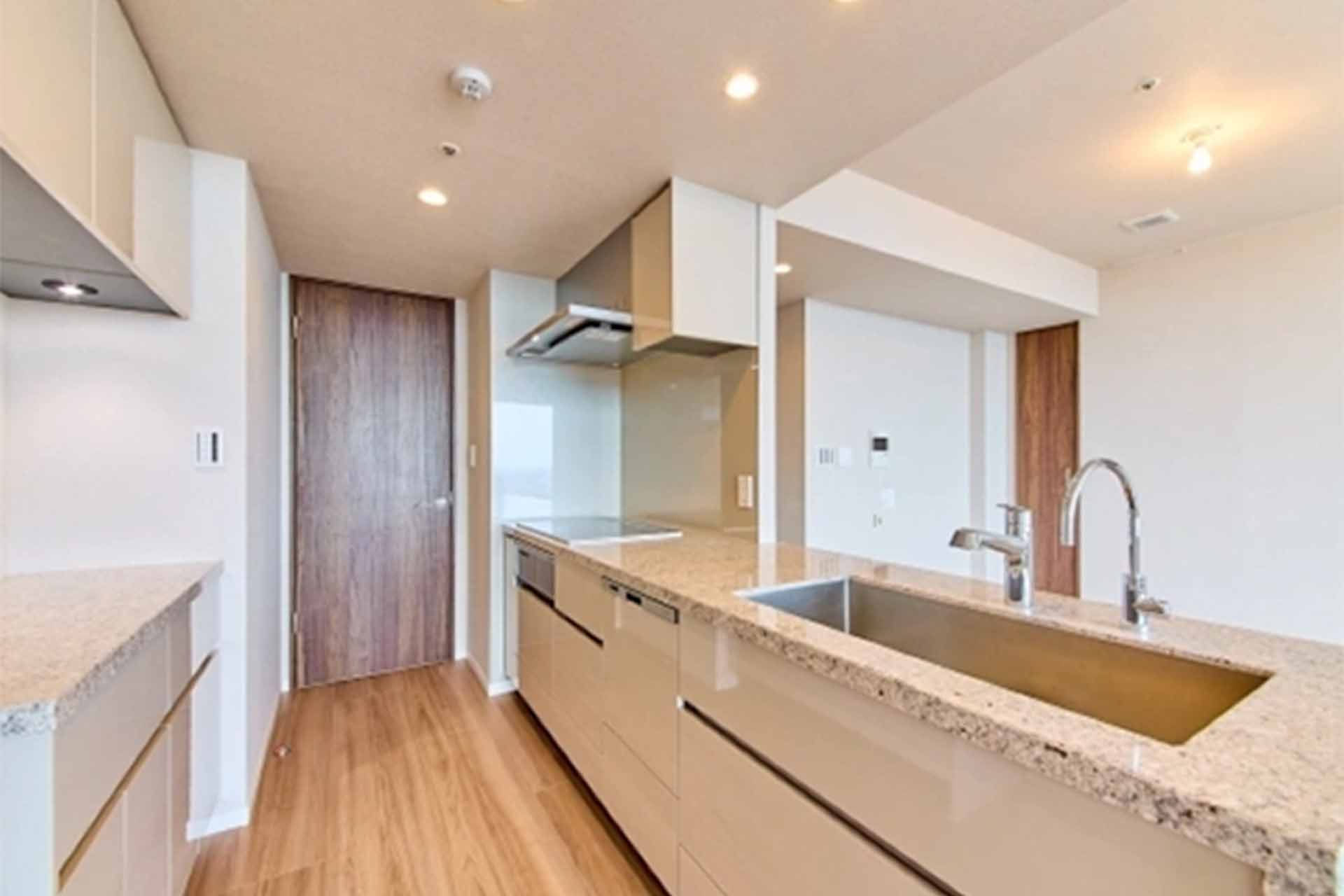 CENTURY PARK TOWER kitchen.jpg