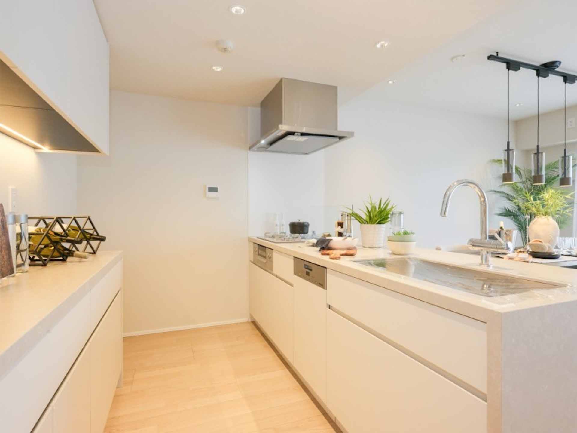 Yoyogi Duplex kitchen.jpg