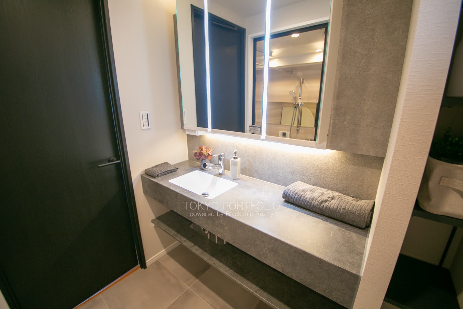 Apartment VIP Nihonbashi Hamacho-01.jpg