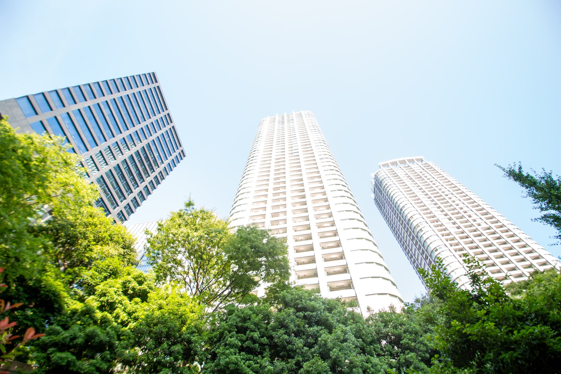 Tokyo Twin Parks Left Wings_ig-12.jpg