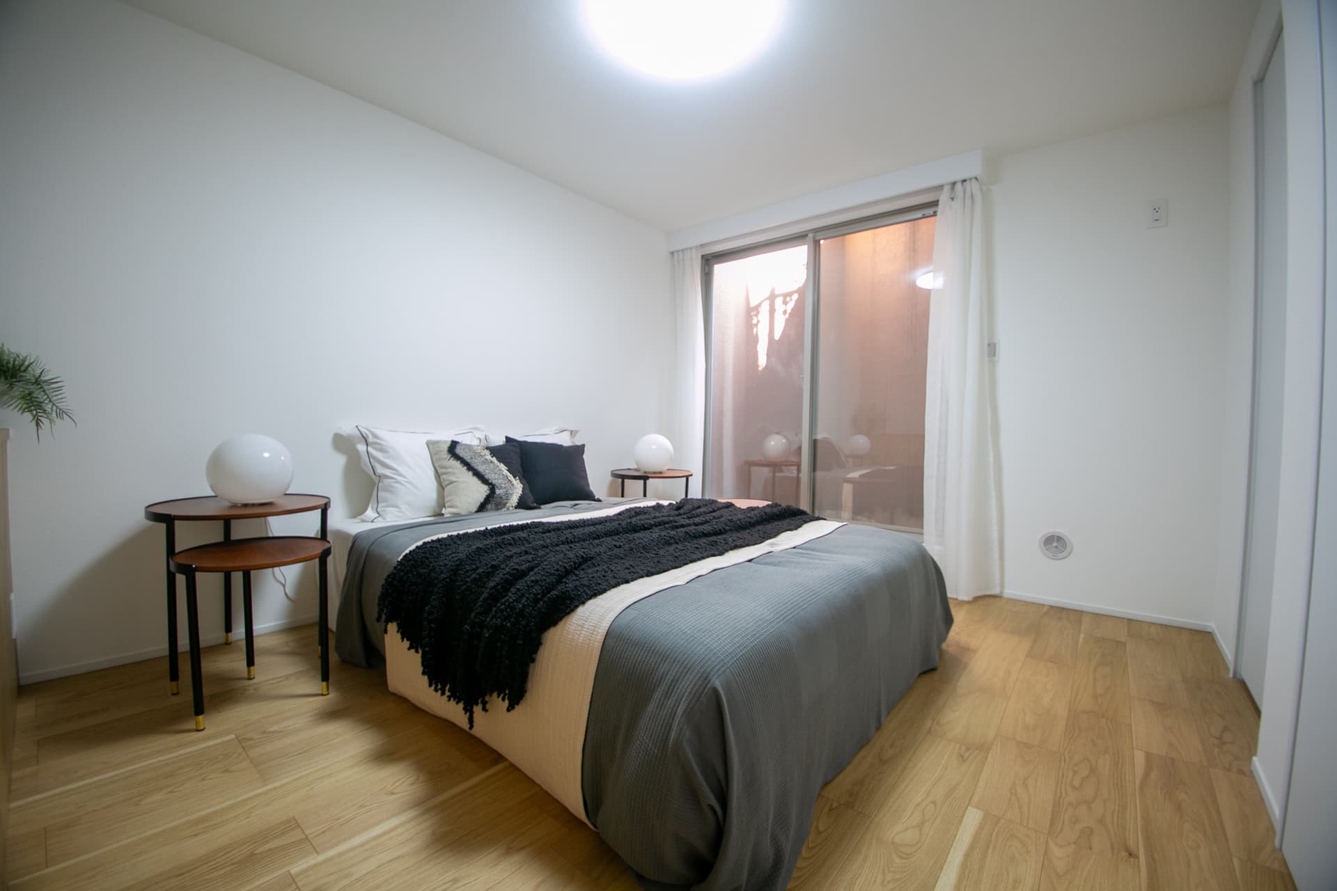 SEBON GRANDIR KAKINOKIZAKA. IG-06.jpg