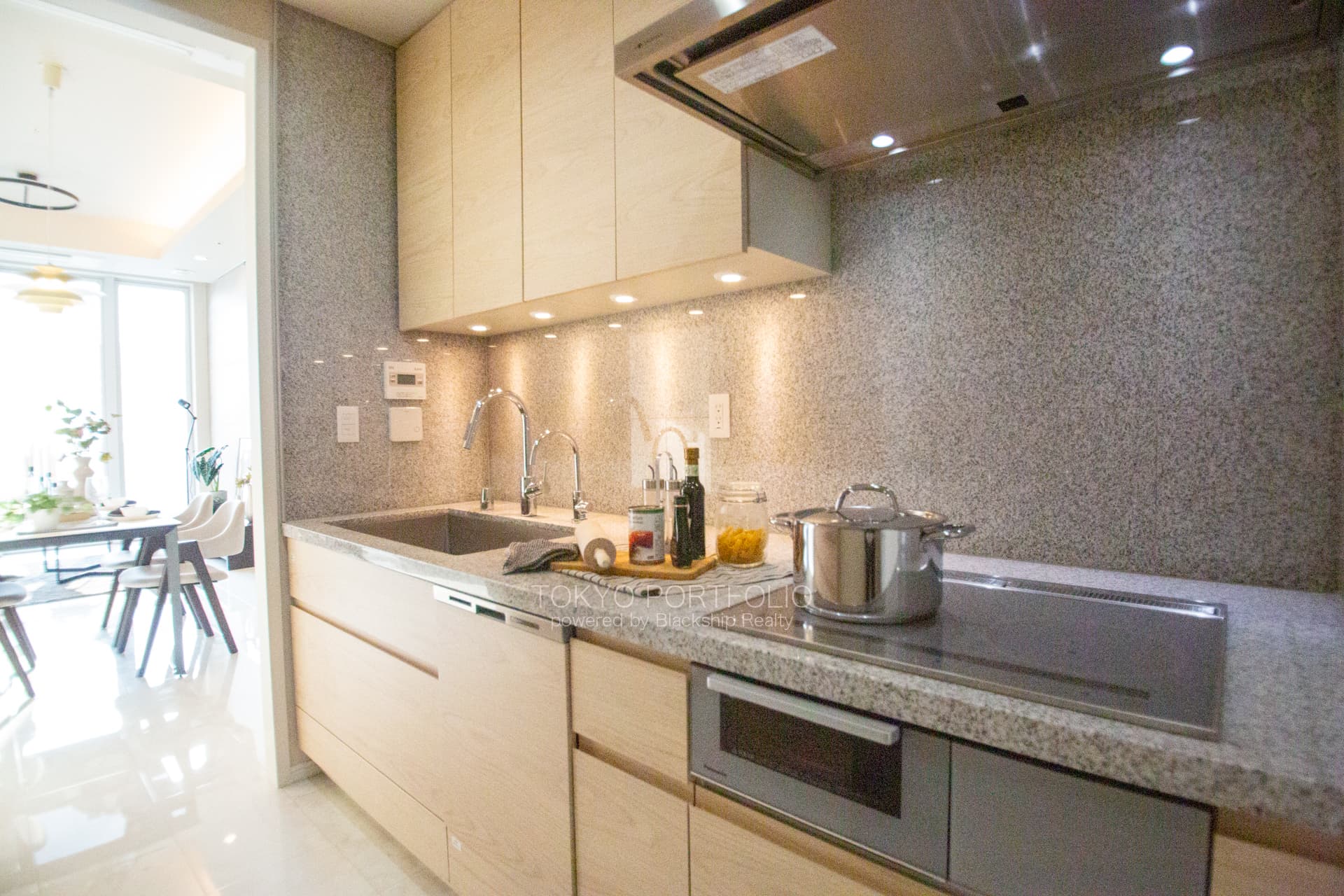 The Parkhouse Harumi Towers Tiaro Residence-06.jpg