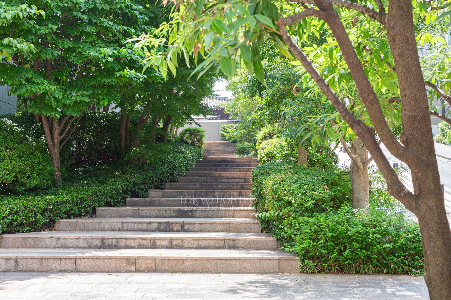 sasion sakurazaka-24.jpg