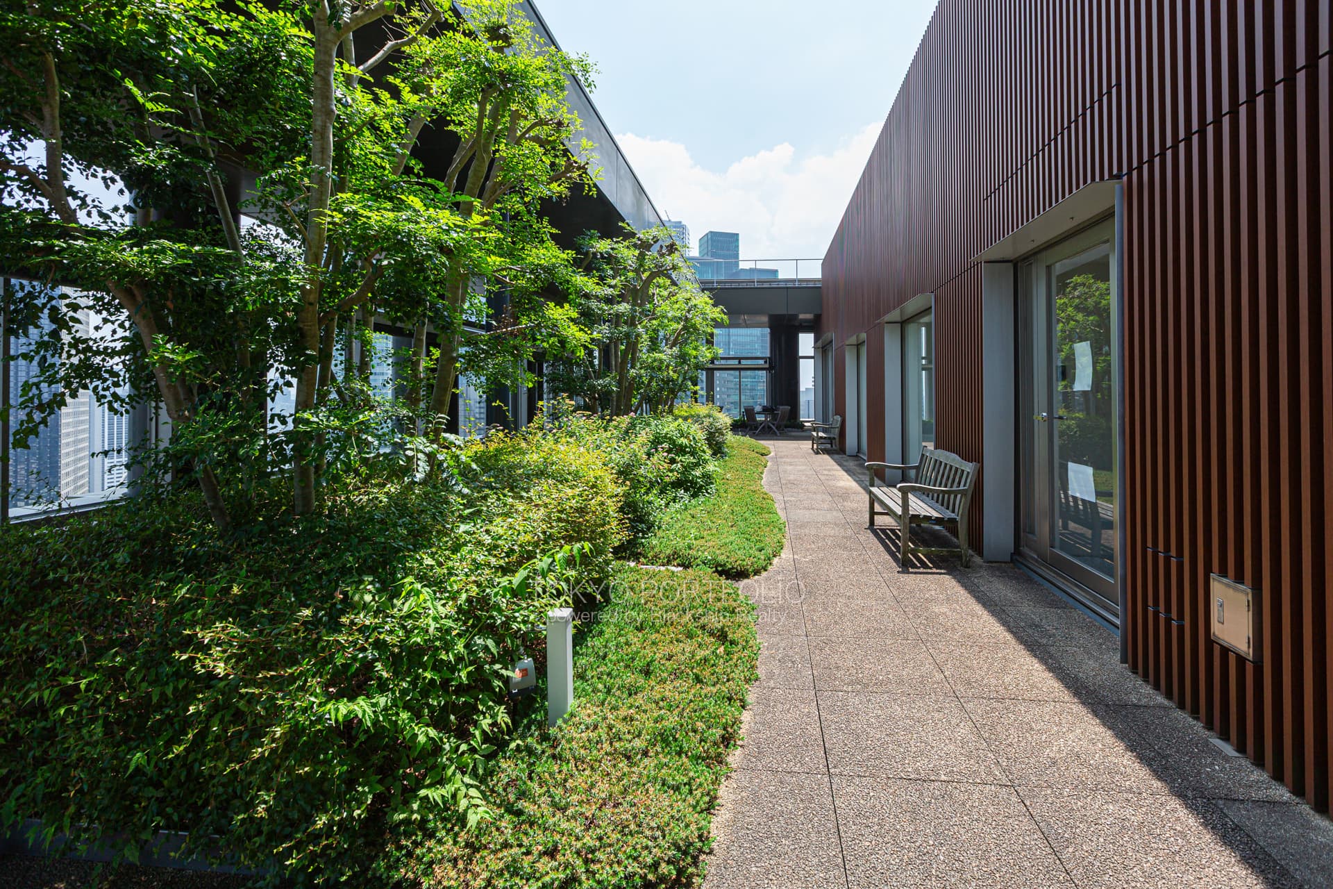 sasion sakurazaka-28.jpg