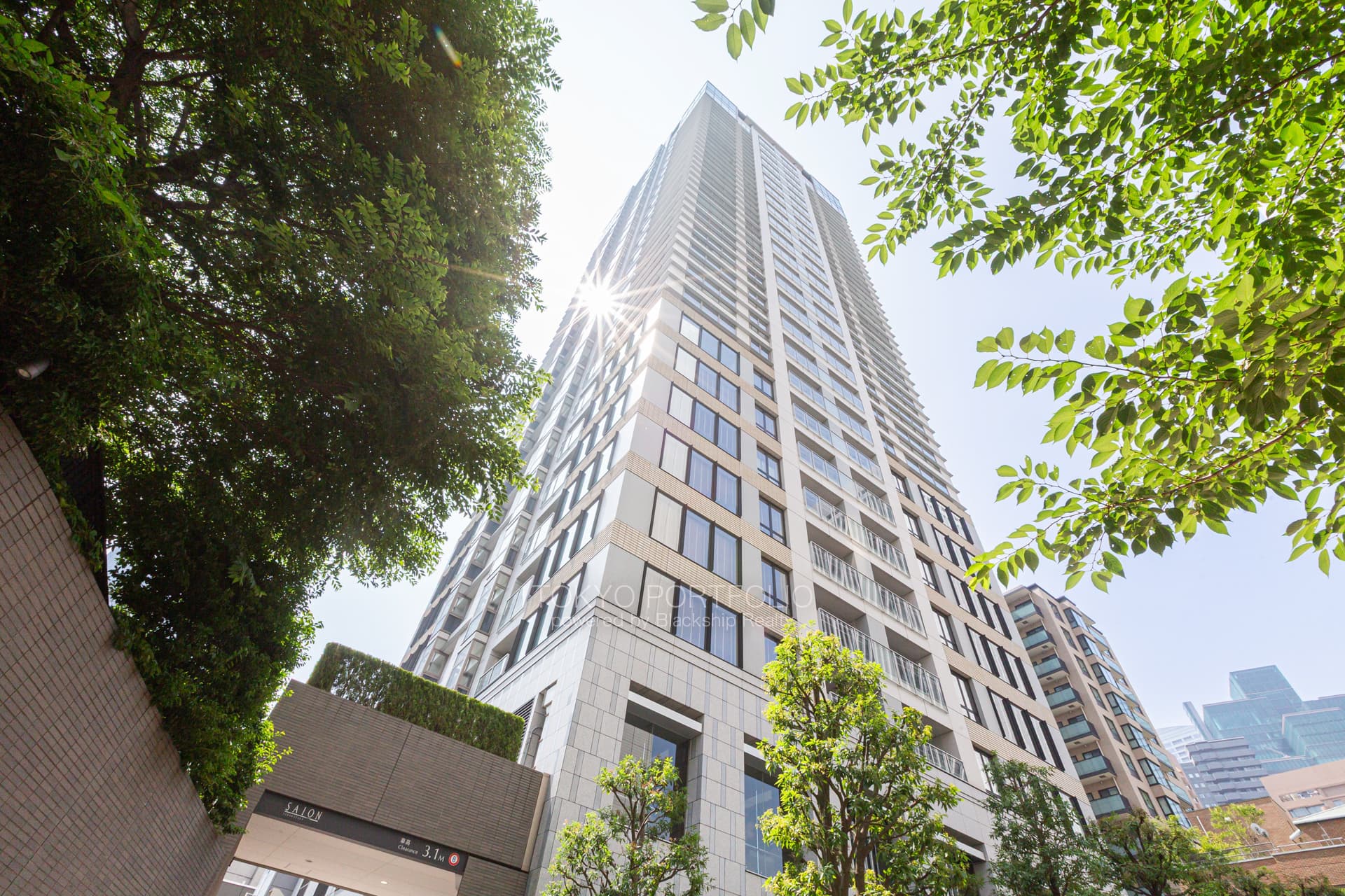 sasion sakurazaka-22.jpg