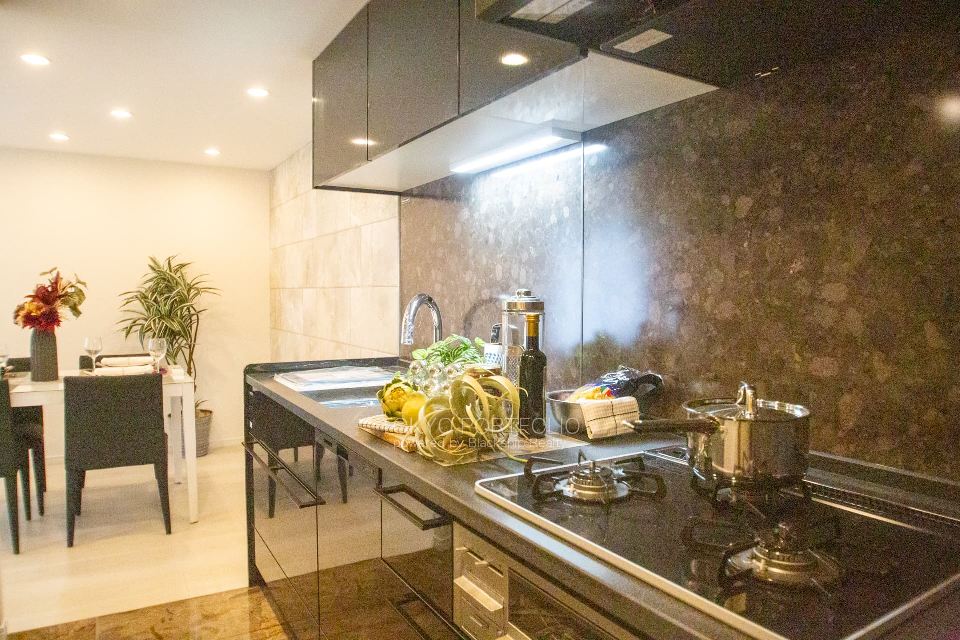 Tower Terrace Meguro Aobadai-07.jpg