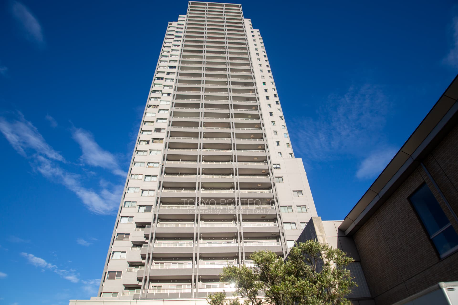 Daikanyama Address-11.jpg