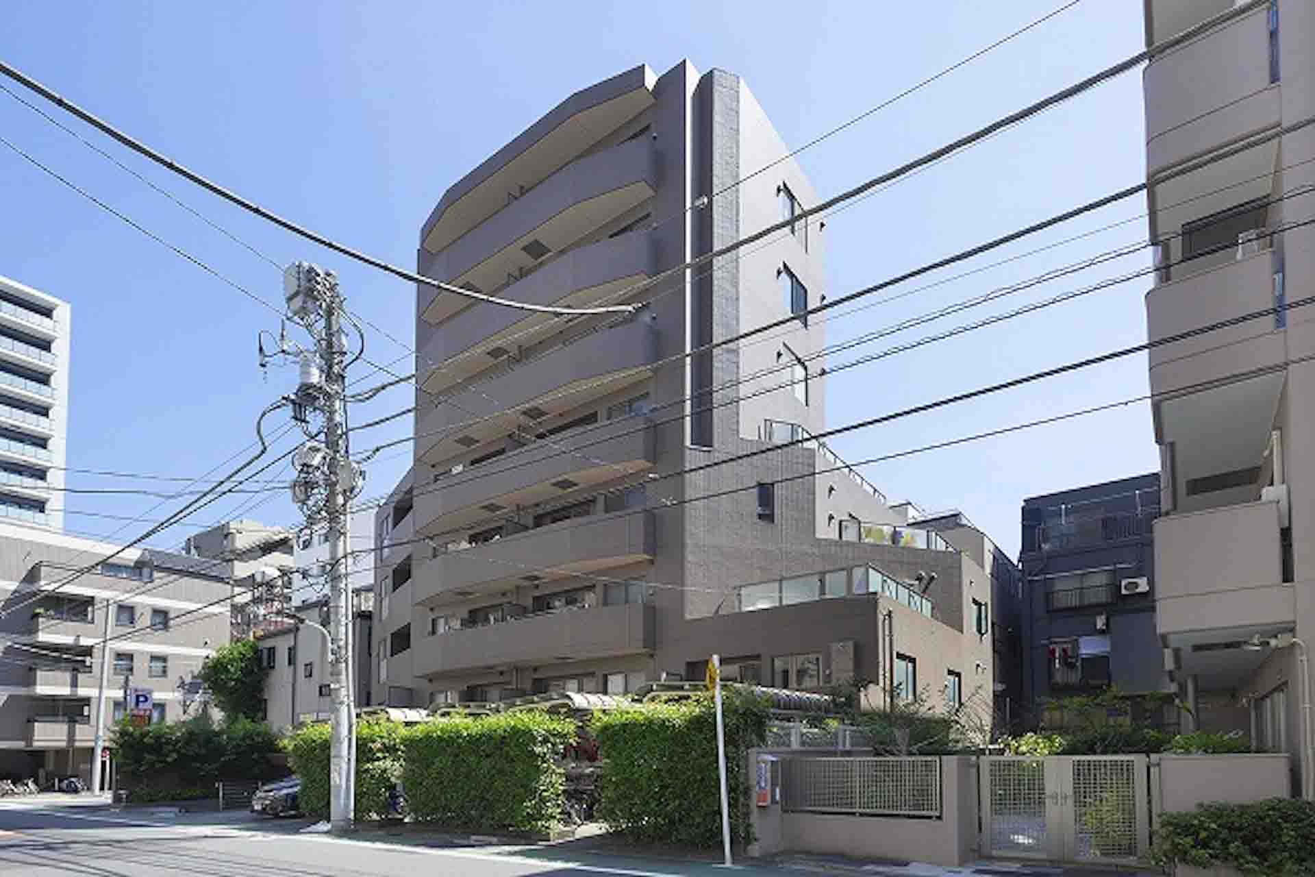 Lupinus Azabu City Form7.jpg