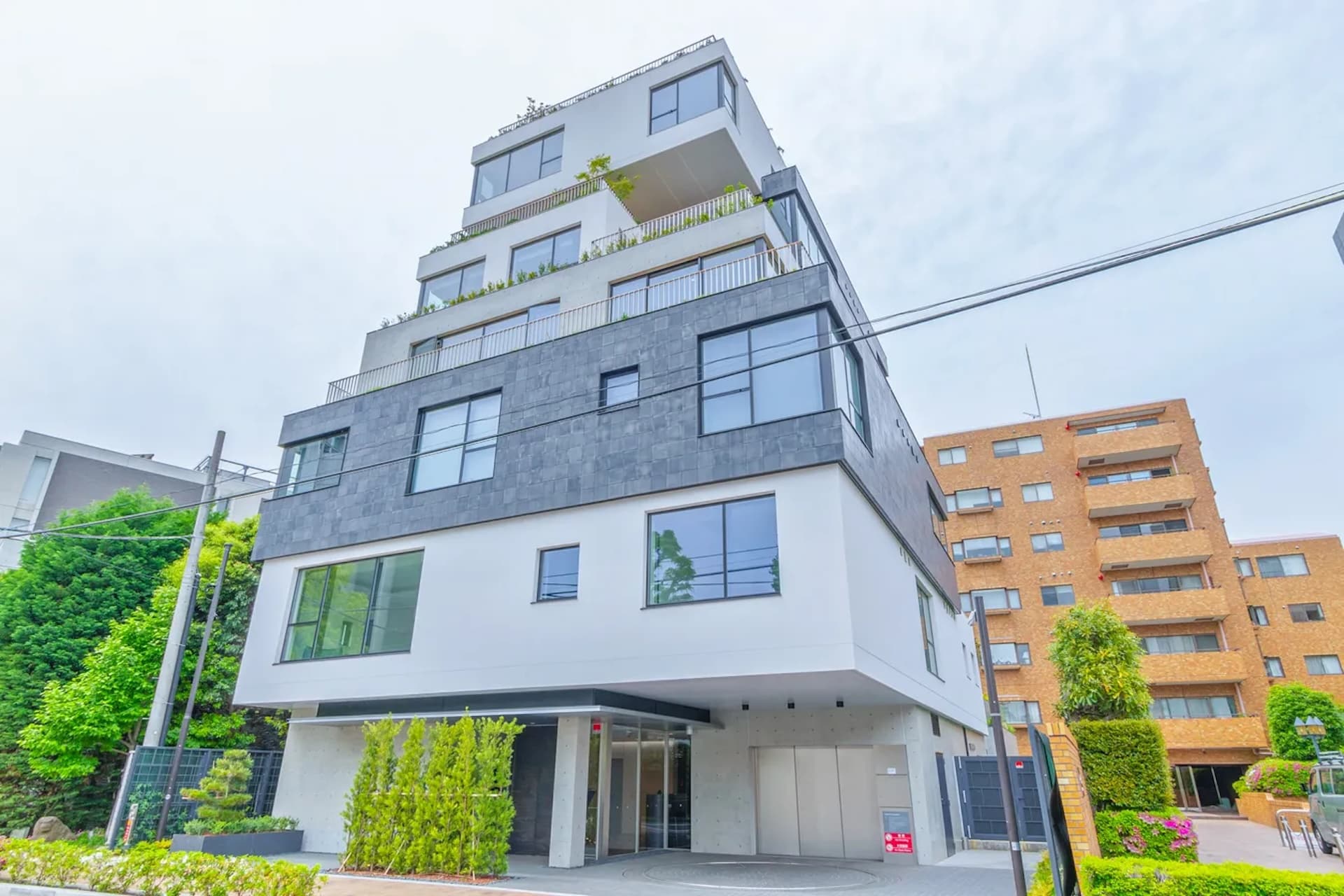 HILLPEAK TOKIWAMATSU1.jpg