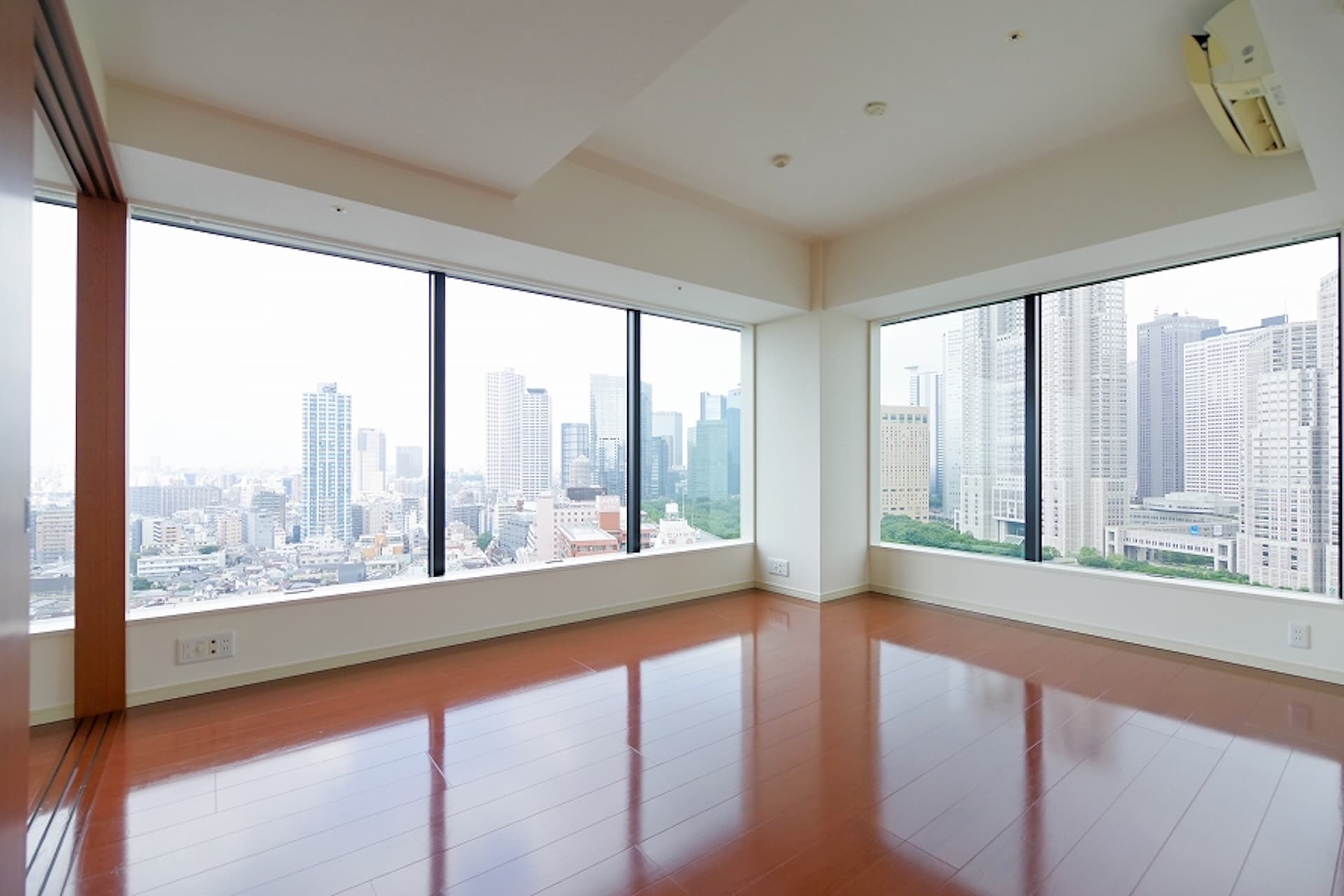 PLATINE SHINJUKU - SHINTOSHIN 12.jpg