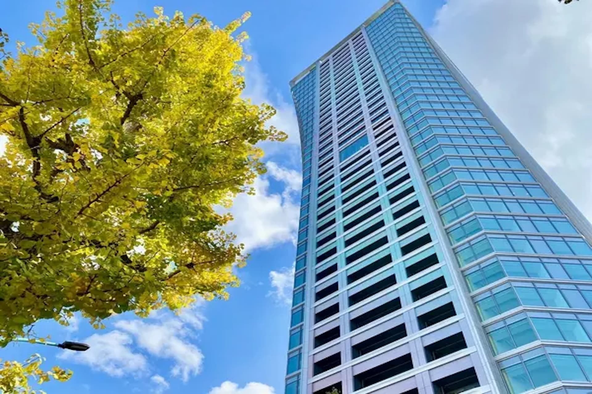 Park Court Shibuya The Tower 21.jpg