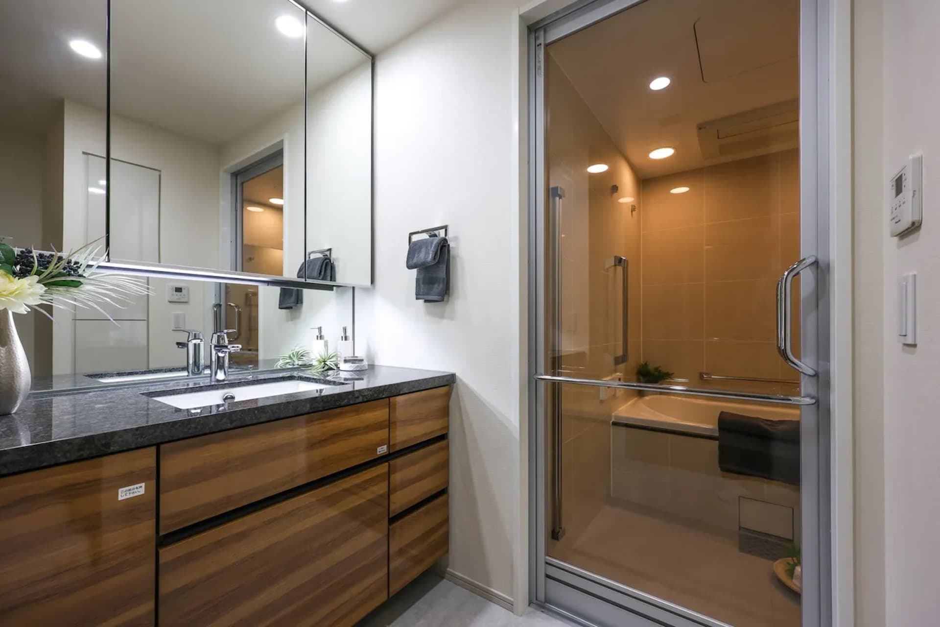 The Parkhouse Mita Tower 14.jpg