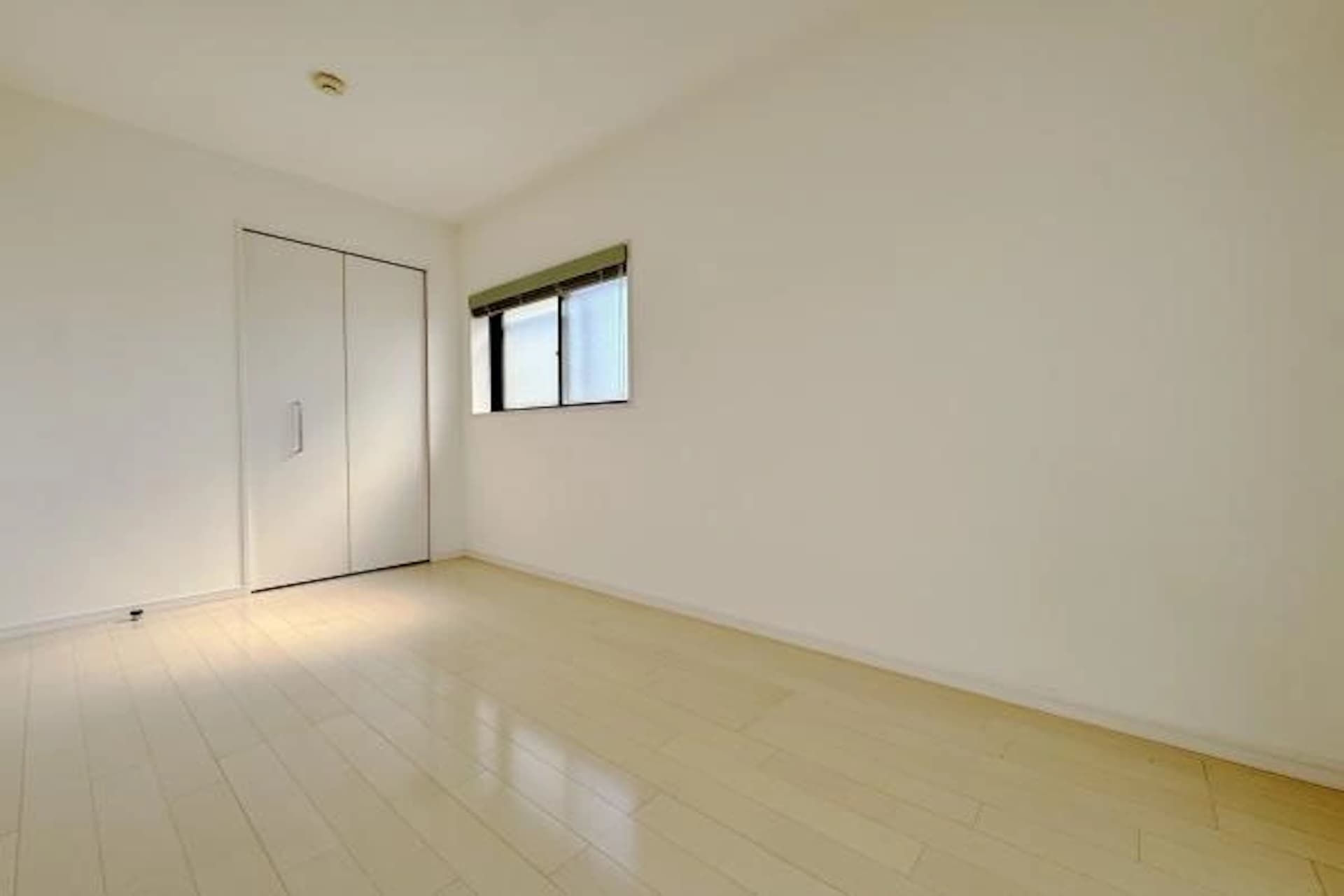 Seas Ricardo Hatagaya11.jpg