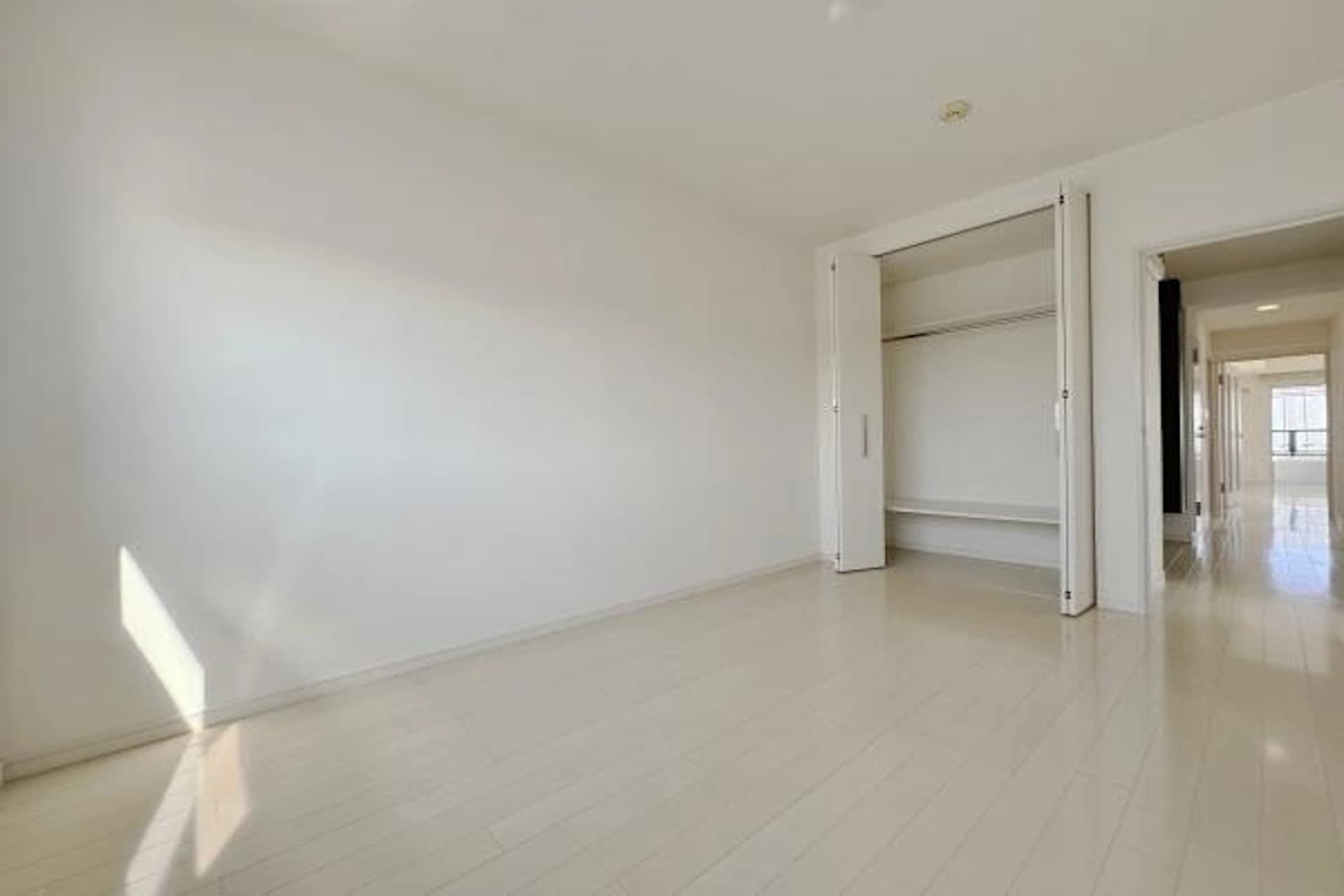 Seas Ricardo Hatagaya1.jpg