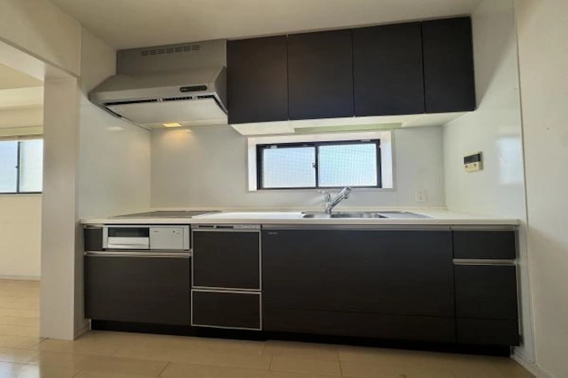 Seas Ricardo Hatagaya4.jpg