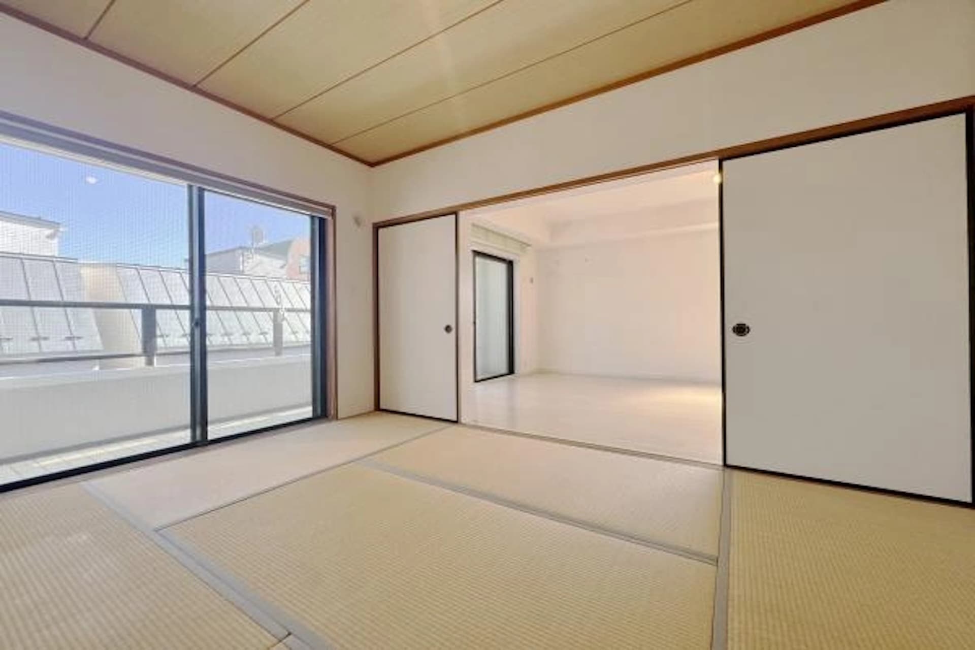 Seas Ricardo Hatagaya7.jpg