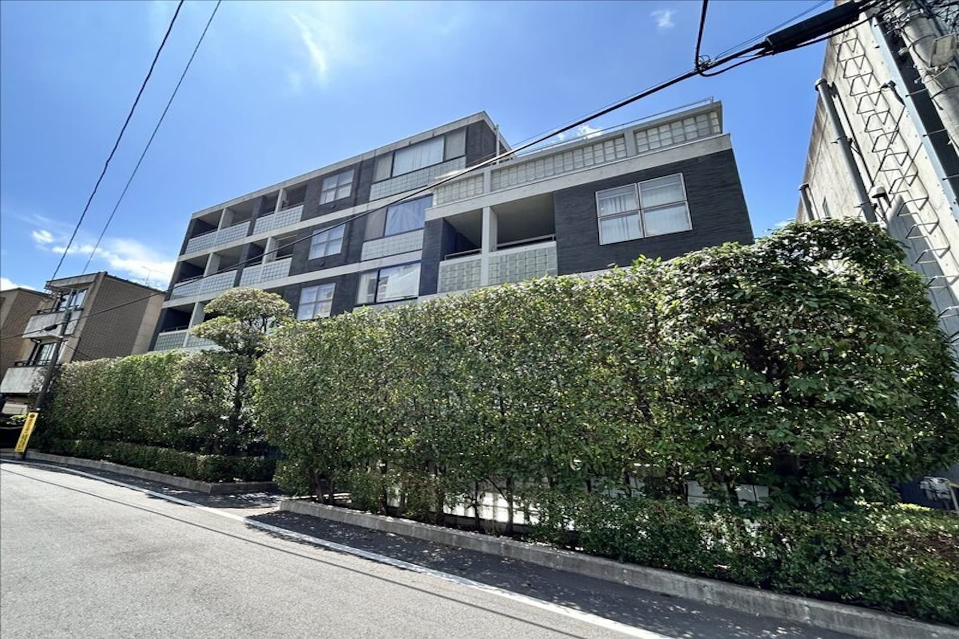 Excelage Jingumae2.jpg