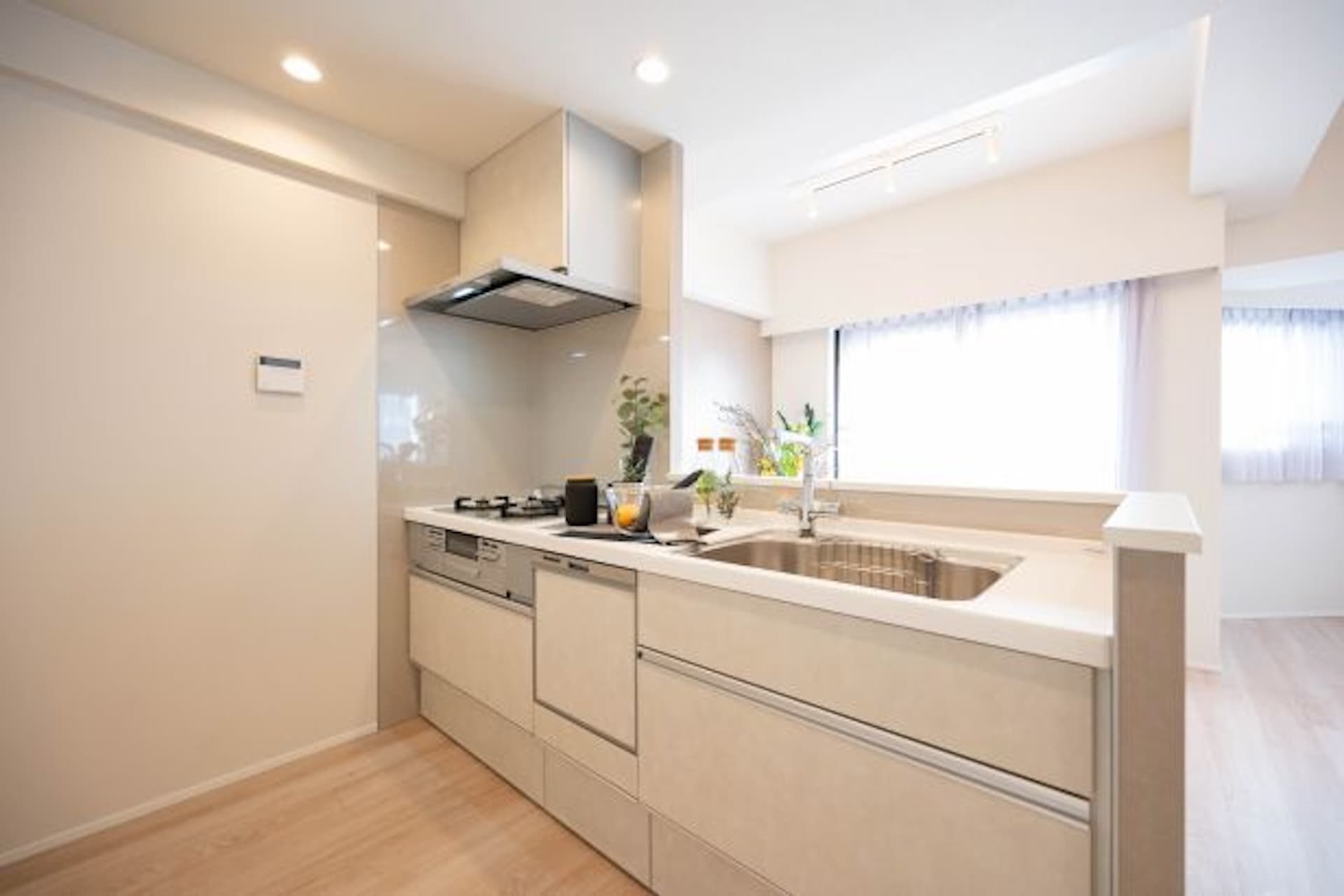 Lions Mansion Takanawa 3.jpg