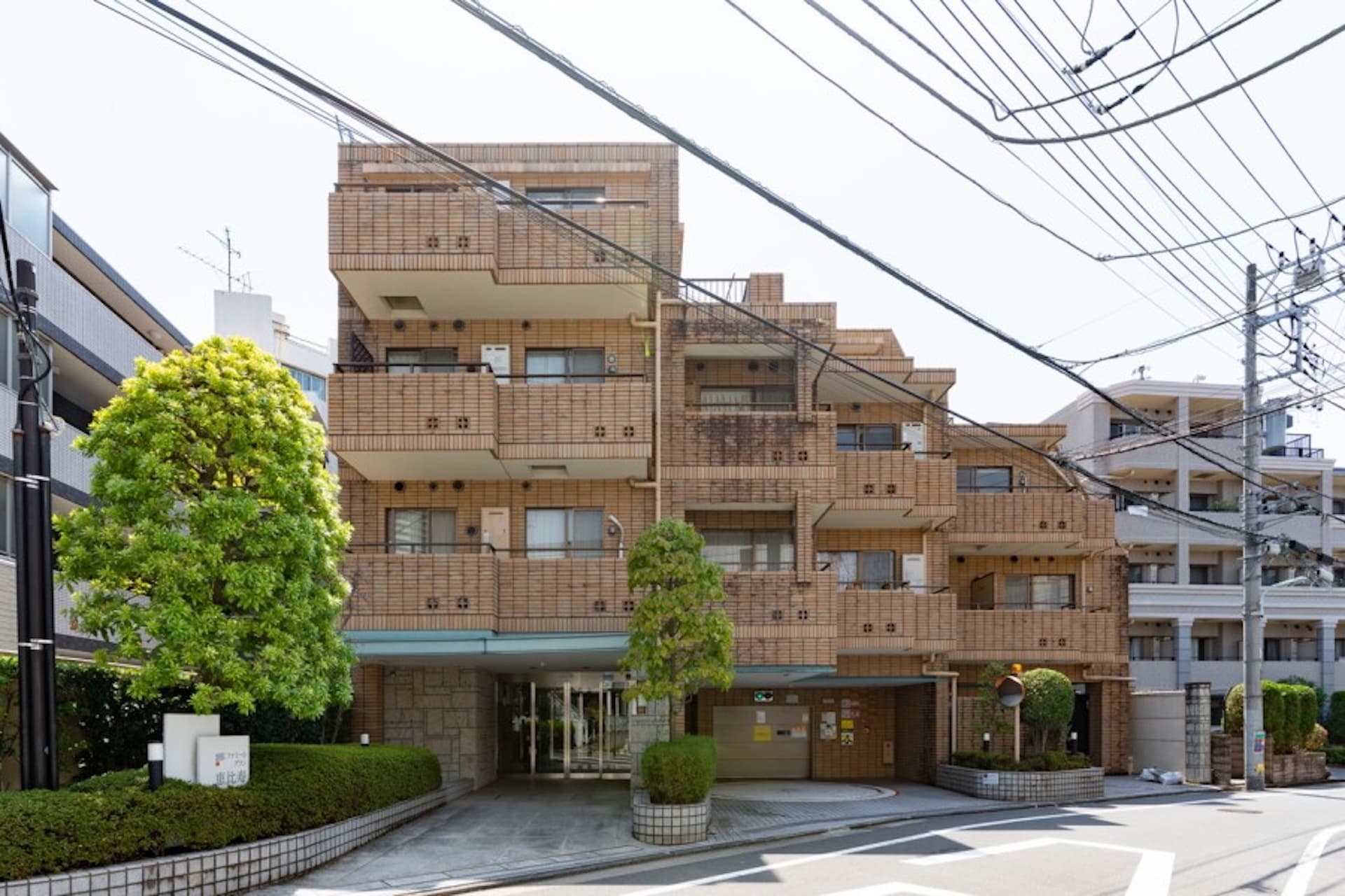 Famille Grand Ebisu 2.jpeg