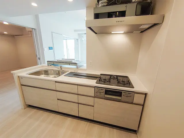 Royal Parks Shinagawa 1911 3.webp