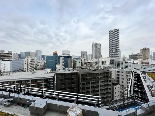 Park Tower Kachidoki 1008 7.webp