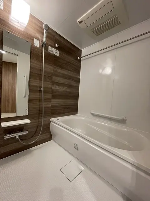 Park Tower Kachidoki 513 5.webp