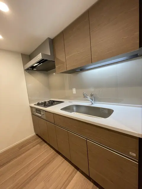 Park Tower Kachidoki 513 4.webp