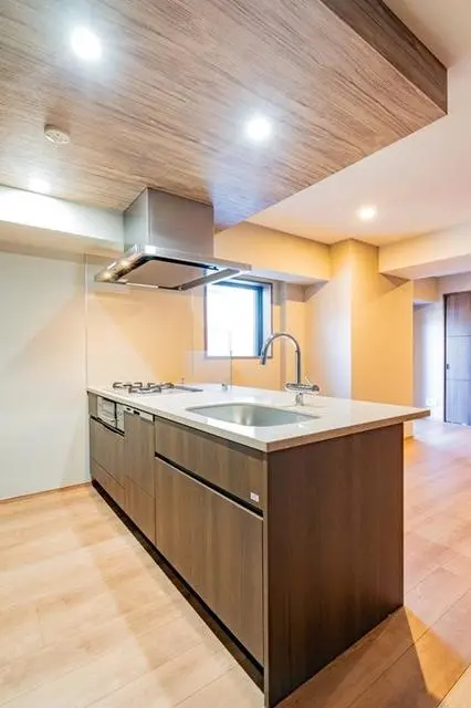 Opus Residence Minami-Aoyama 404 4.webp